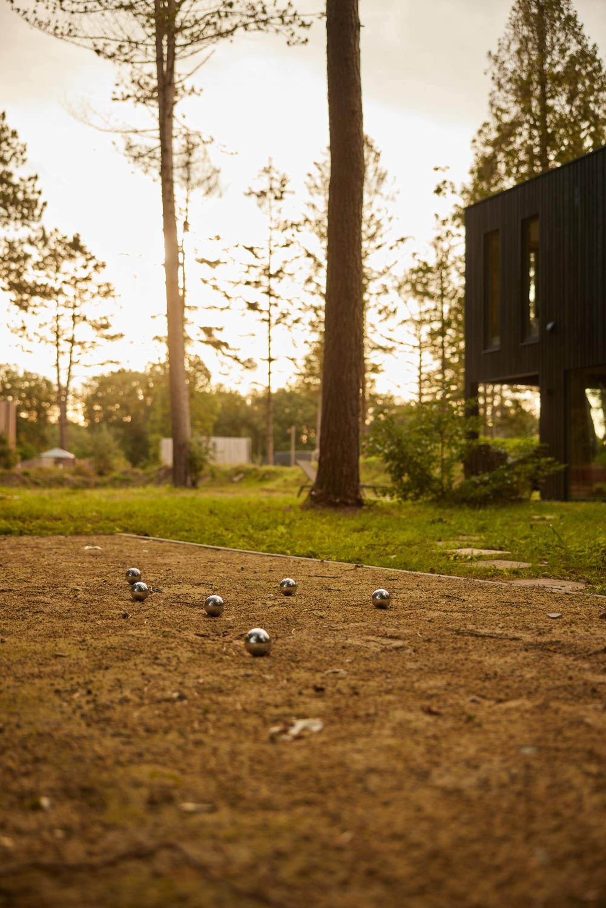 Photo 41