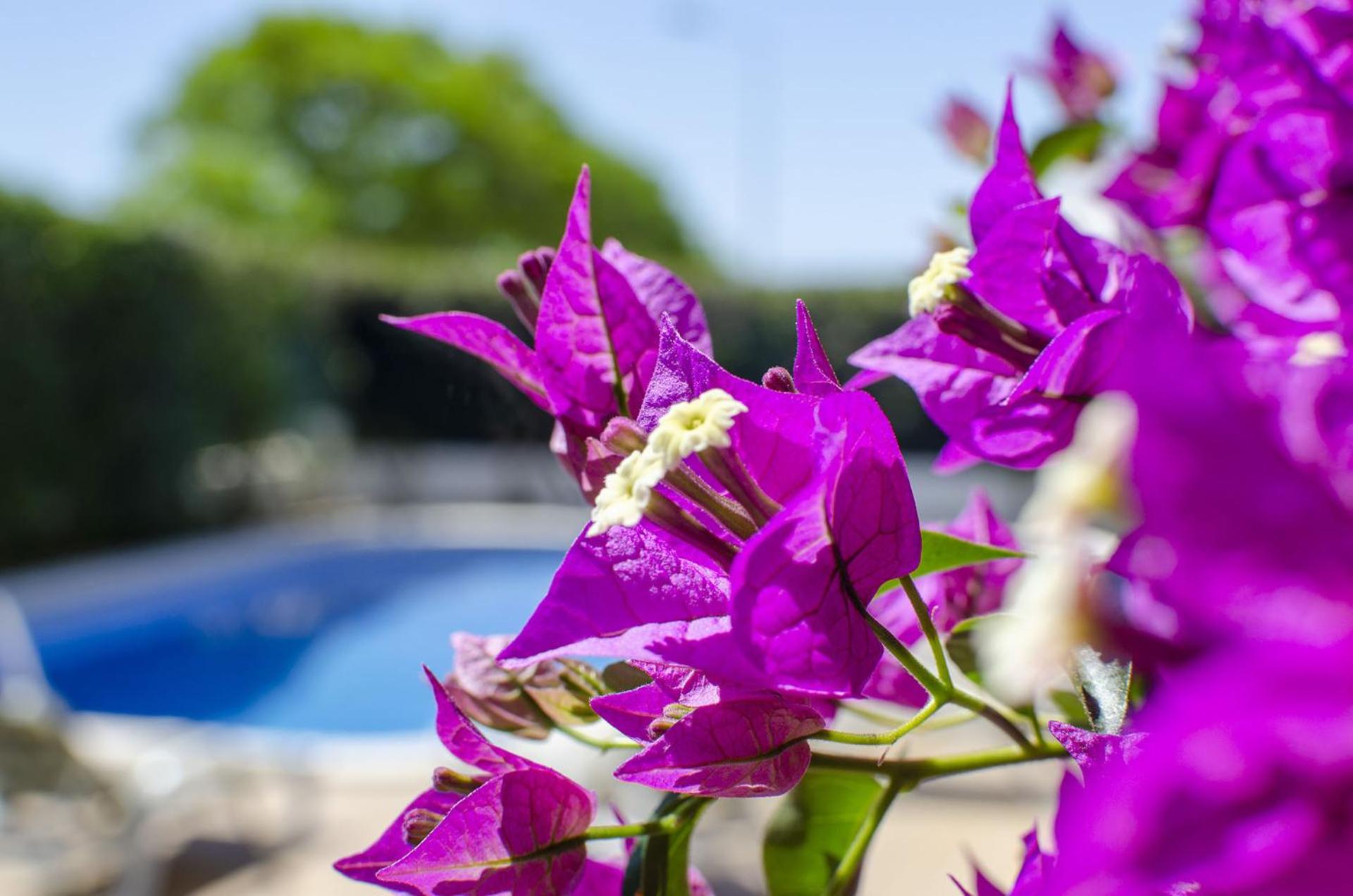 Villa Tulipa by Algarve Holidays view 4
