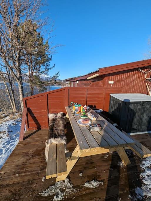 Senja - Charming cottage by the sea with terrace and fantastic view