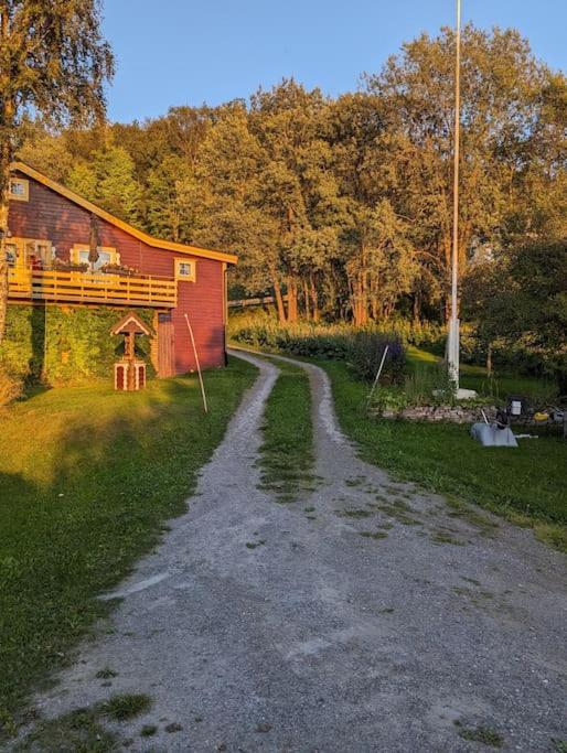 Senja - Charming cottage by the sea with terrace and fantastic view