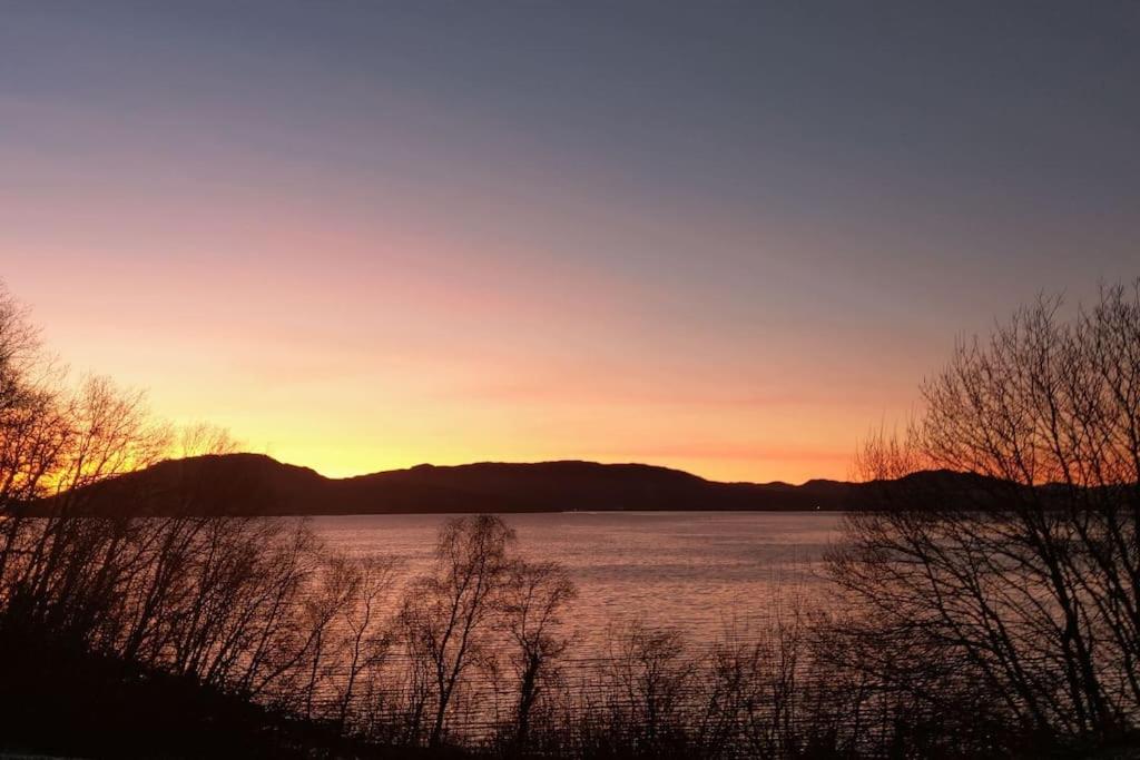 Senja - Charming cottage by the sea with terrace and fantastic view