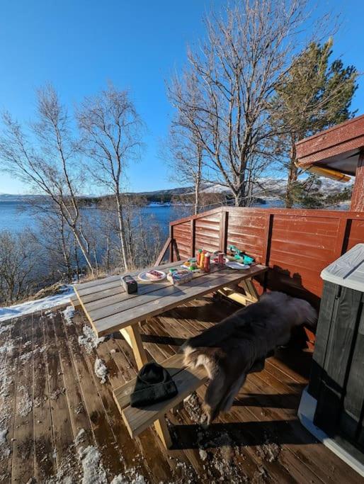 Senja - Charming cottage by the sea with terrace and fantastic view