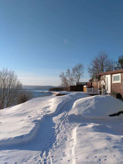 Senja - Charming cottage by the sea with terrace and fantastic view