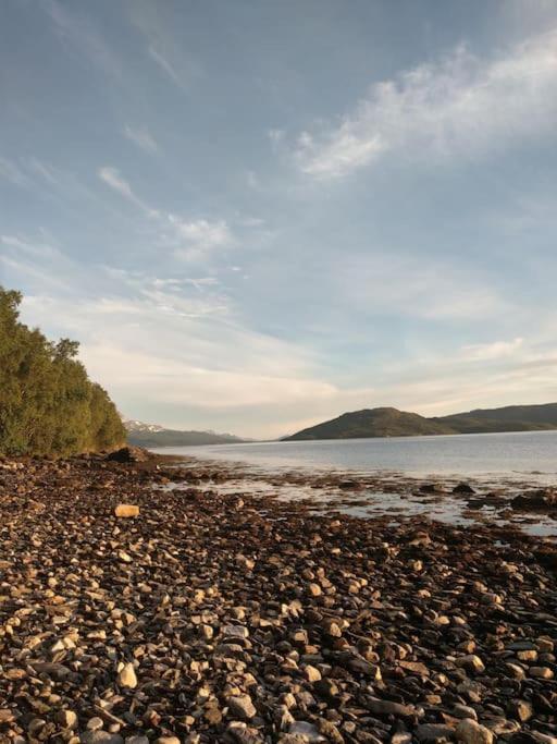 Senja - Charming cottage by the sea with terrace and fantastic view