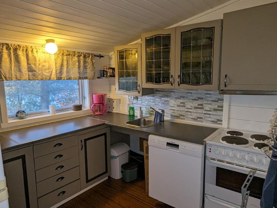 Senja - Charming cottage by the sea with terrace and fantastic view