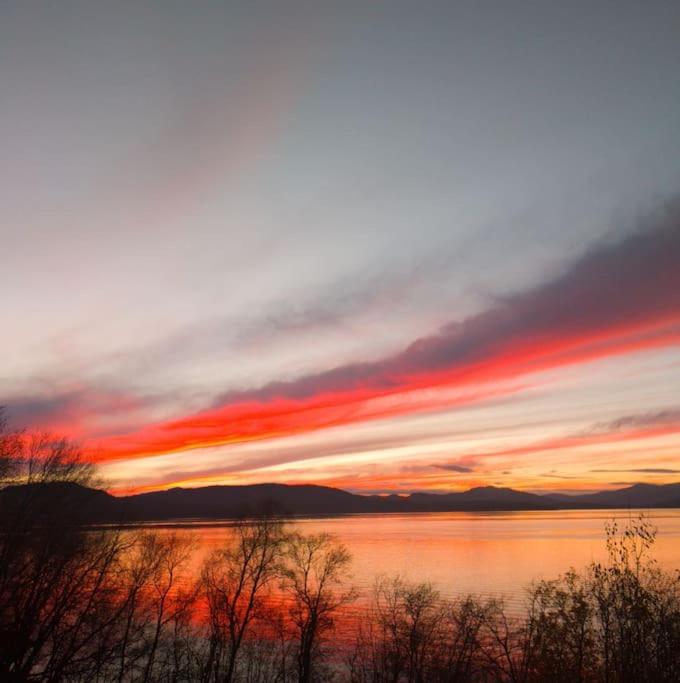 Senja - Charming cottage by the sea with terrace and fantastic view