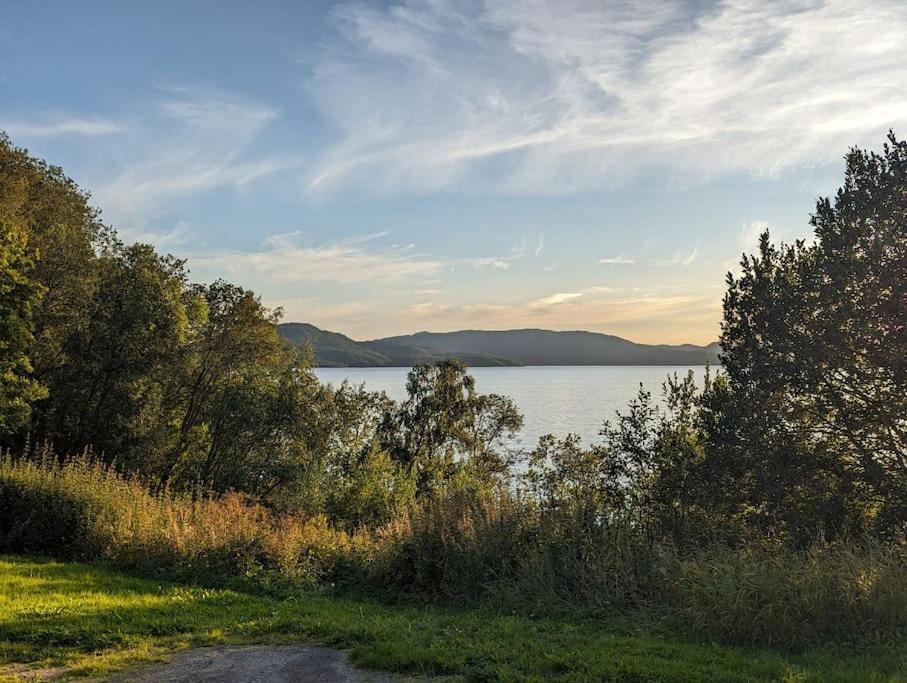 Senja - Charming cottage by the sea with terrace and fantastic view