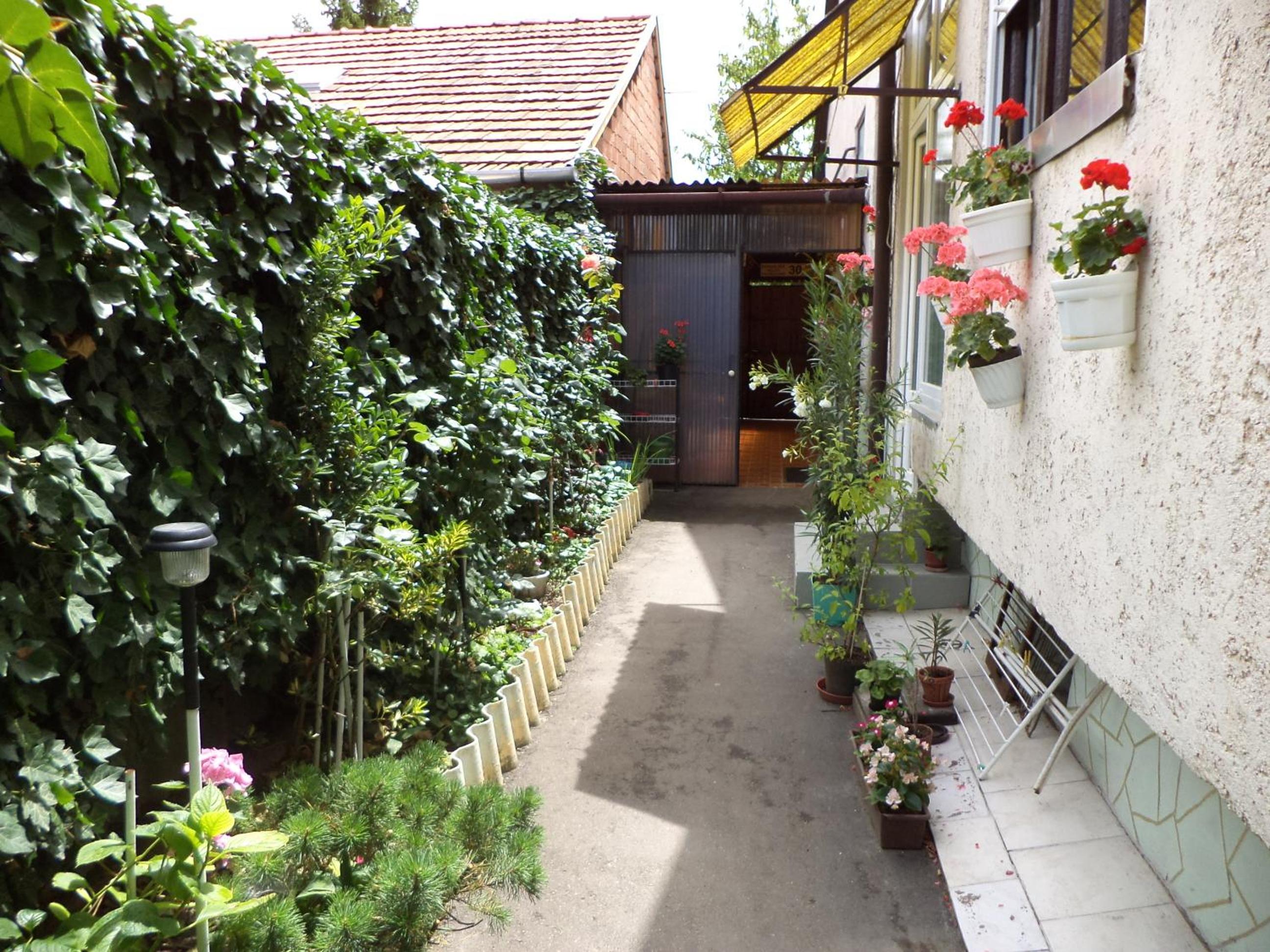 Havas Apartman view 4