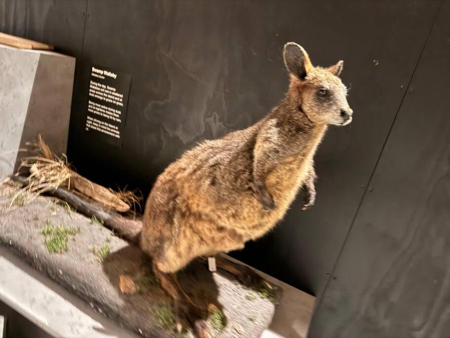 The Great Apollo Bay Retreat
