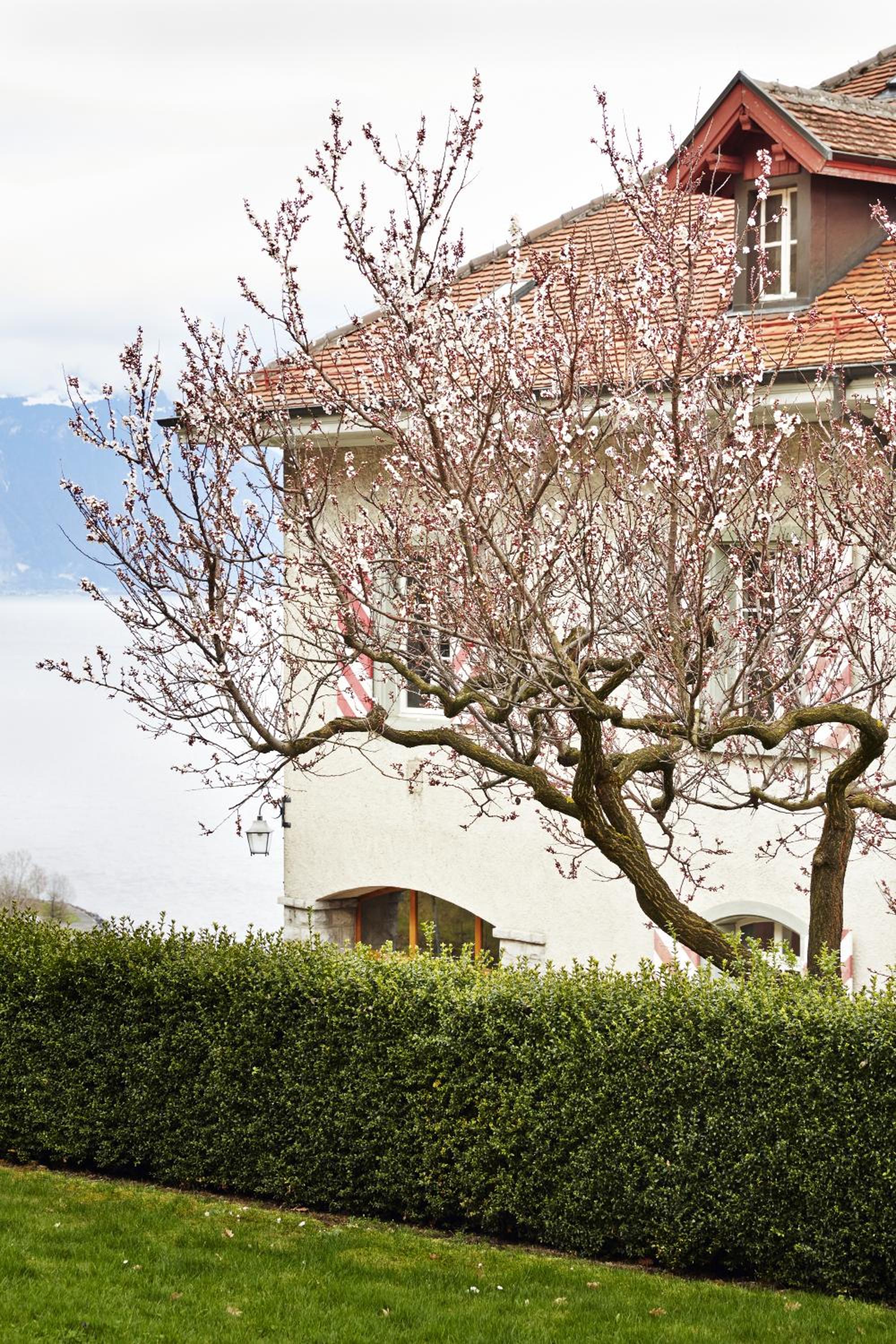 Domaine du Burignon