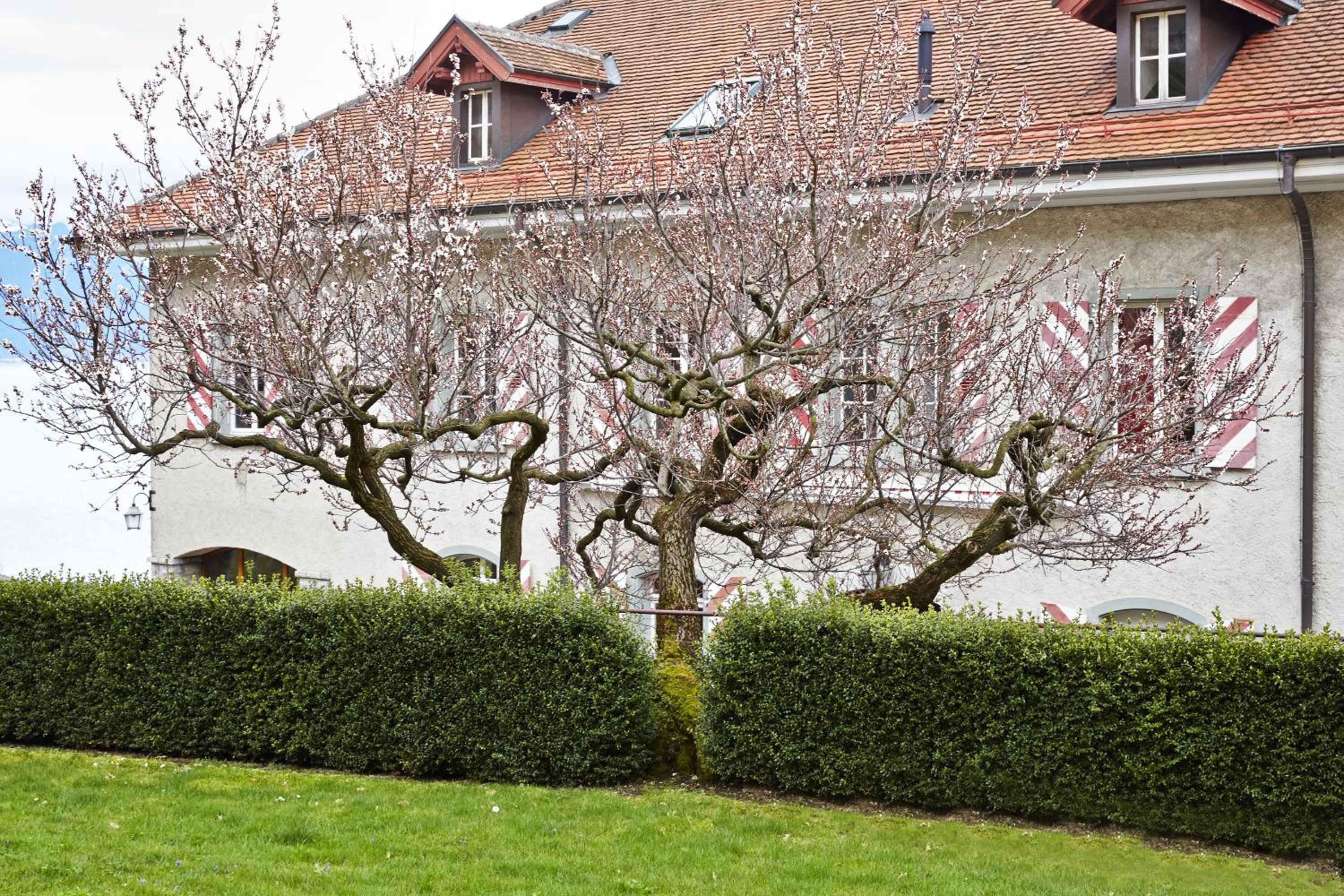 Domaine du Burignon