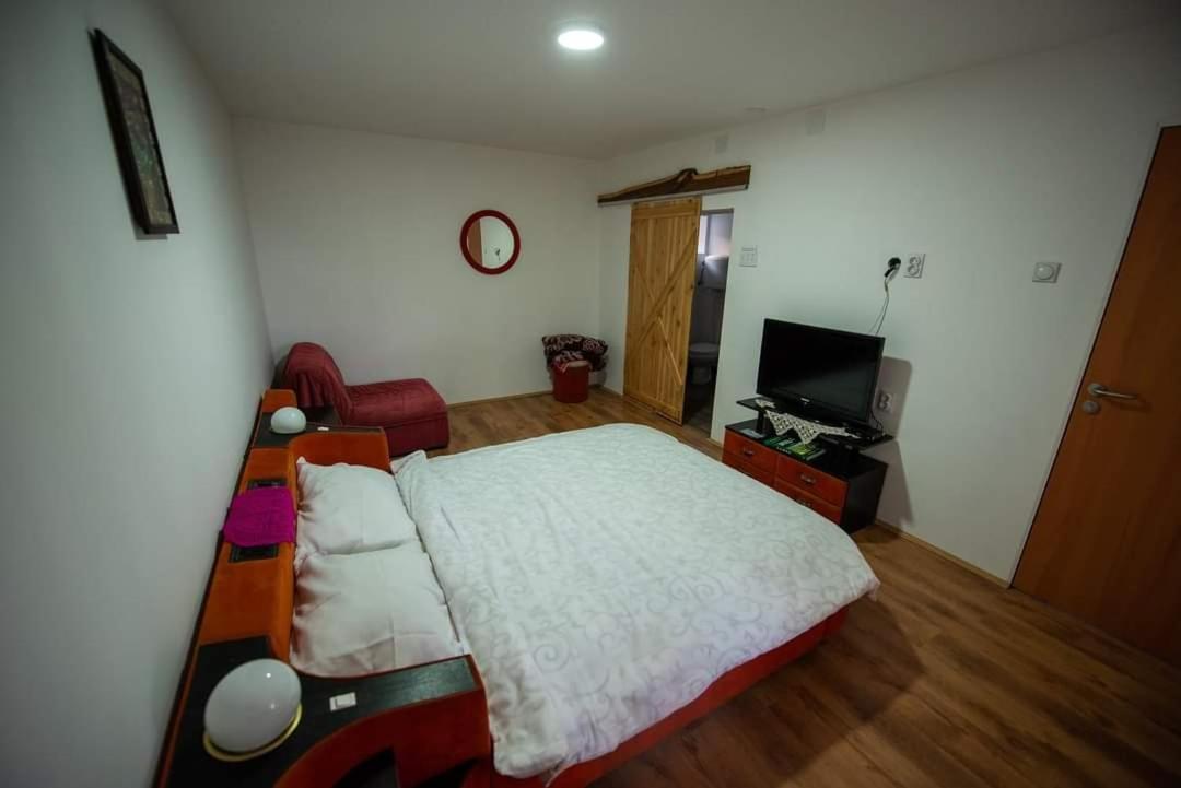 Domaćinstvo Radisavljevic view 4
