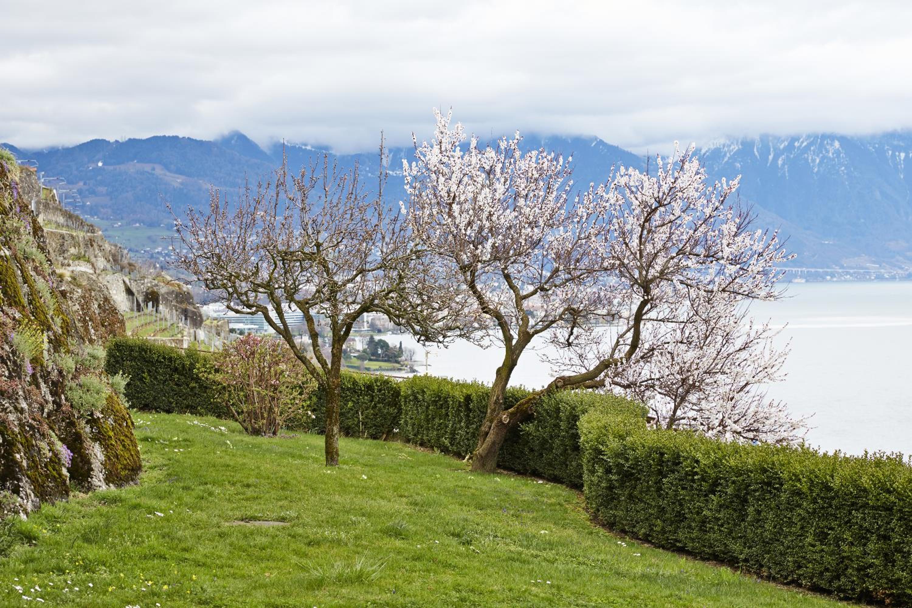 Domaine du Burignon