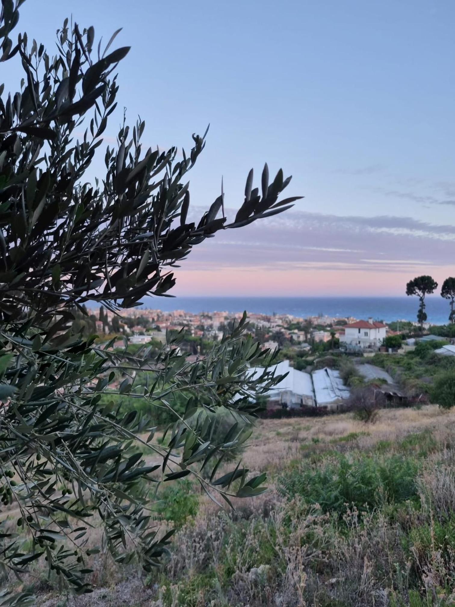 Residenza Villa Genua - Property Image 38