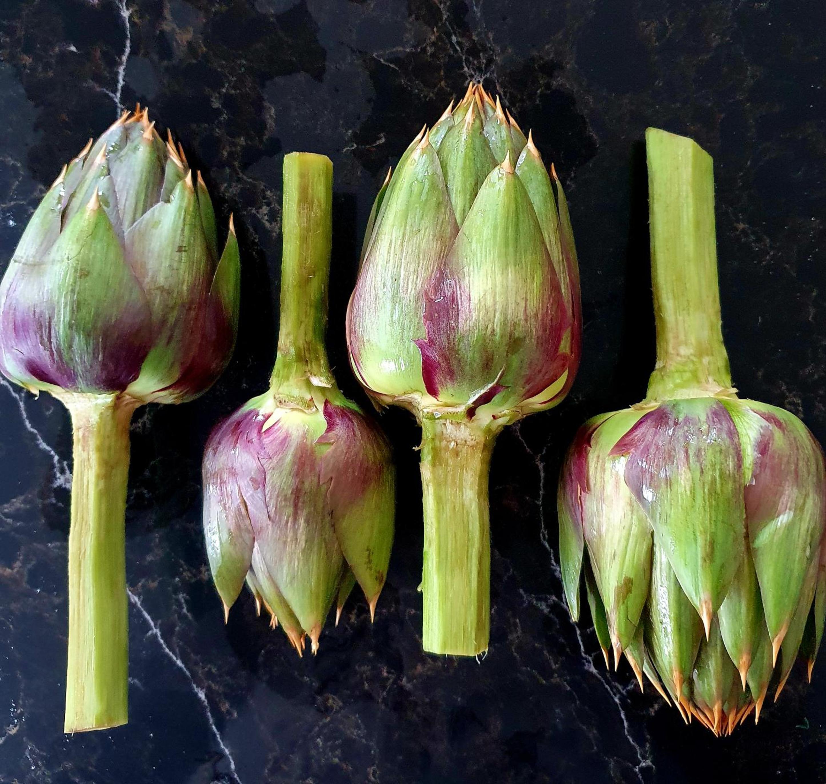 Residenza Villa Genua - Property Image 44