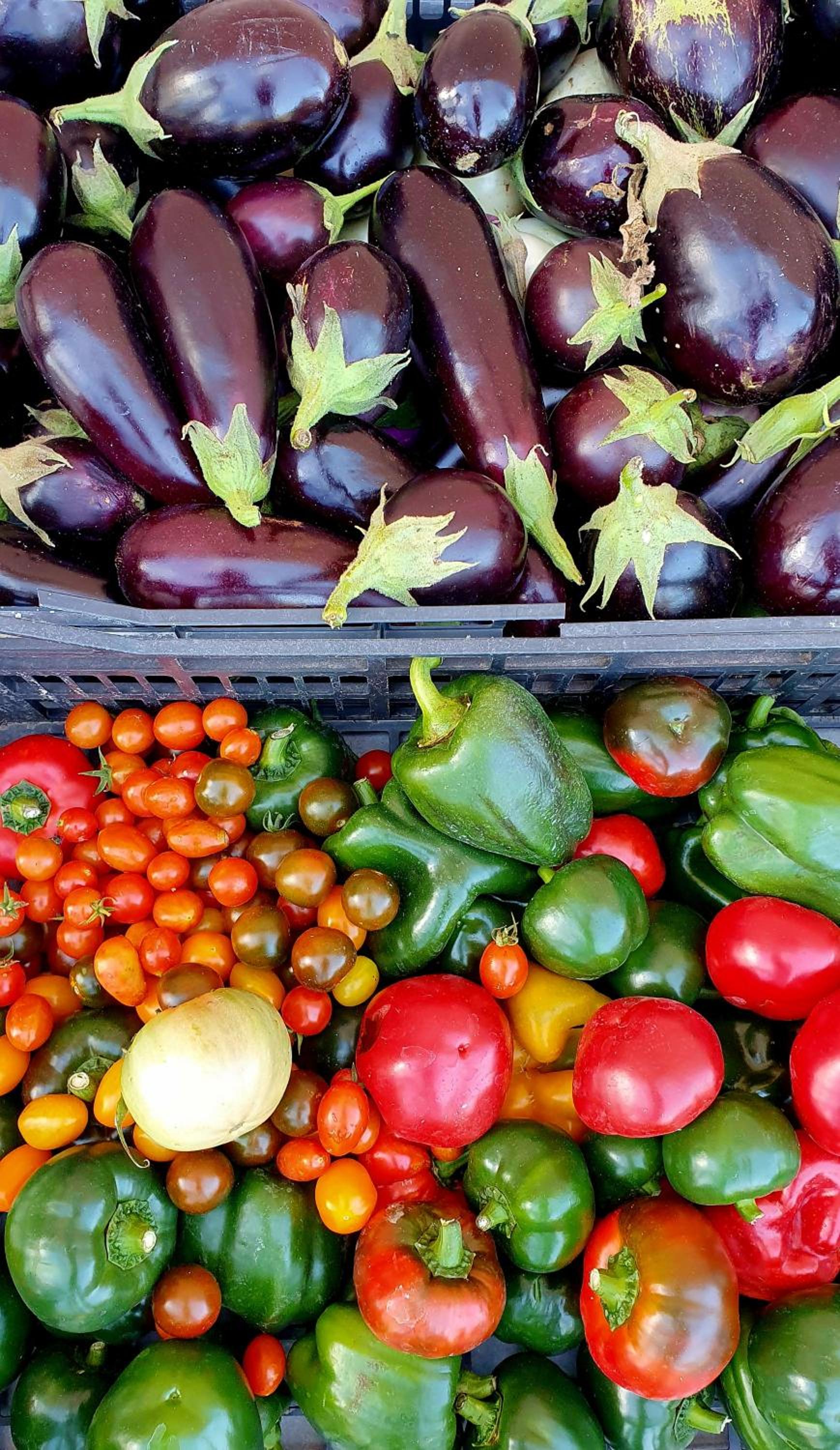 Residenza Villa Genua - Property Image 46