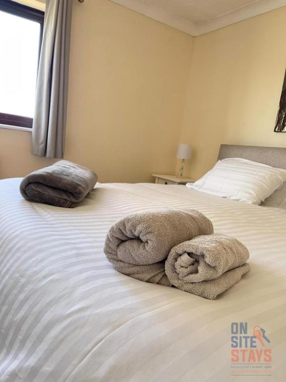 Cosy ground floor 2 bedroom with Wifi and lots of Parking view 2
