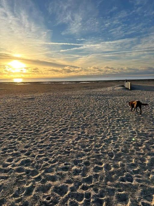 NEU – 49QM – Ferienwohnung am Südstrand Fehmarn
