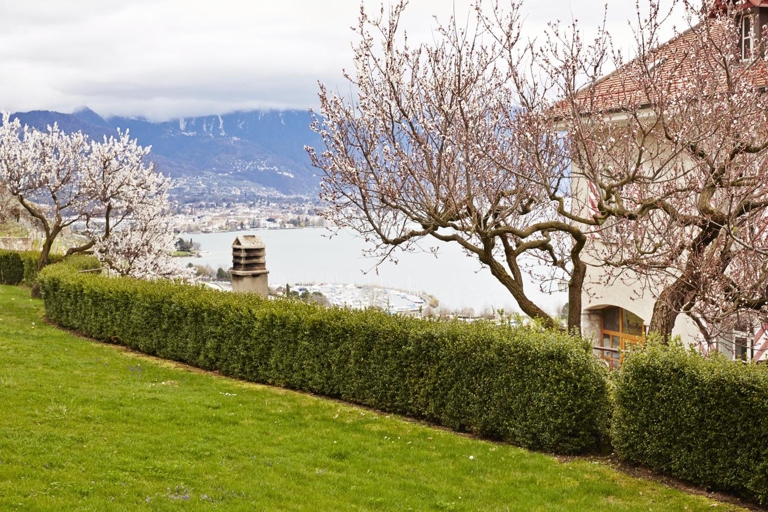 Domaine du Burignon