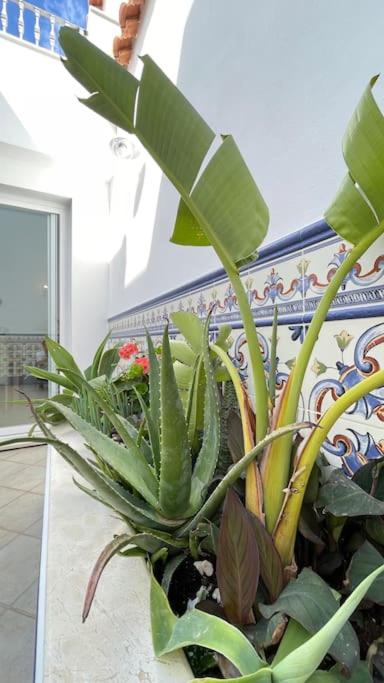 Casa Azahar centrally located 2 bedroom apartment