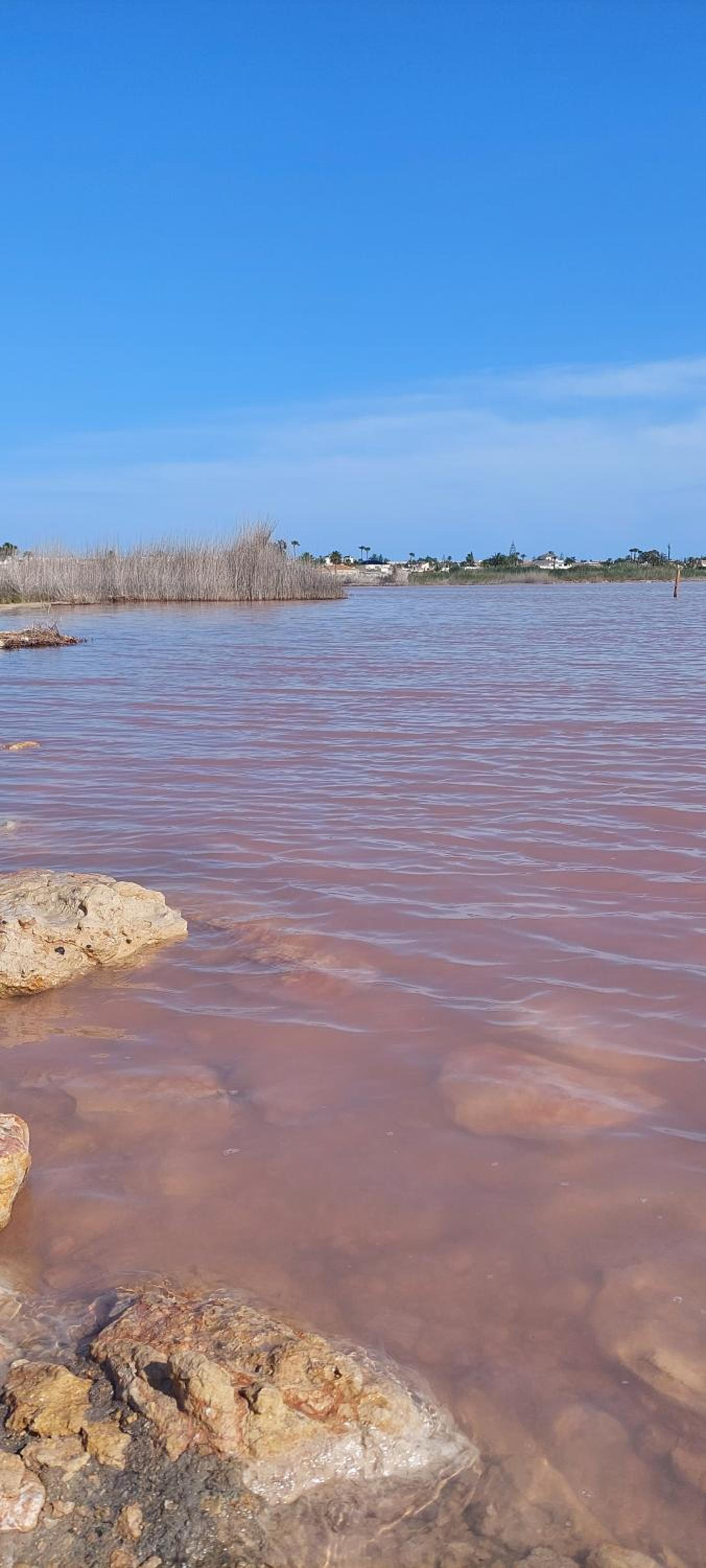 Apartamento del Sur