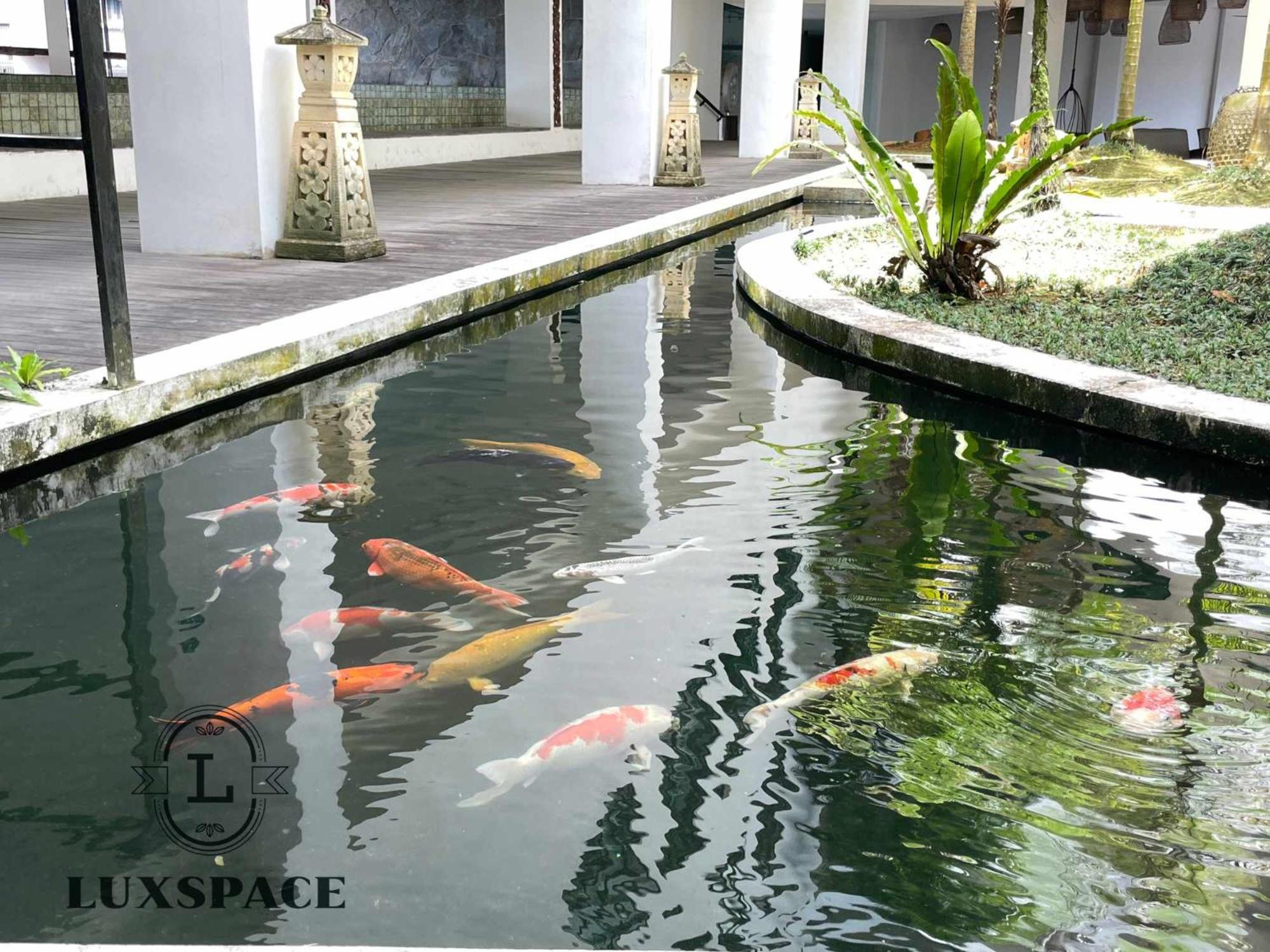 Kuching Cozy Balinese Style Rex Apartment Near BDC photo 6