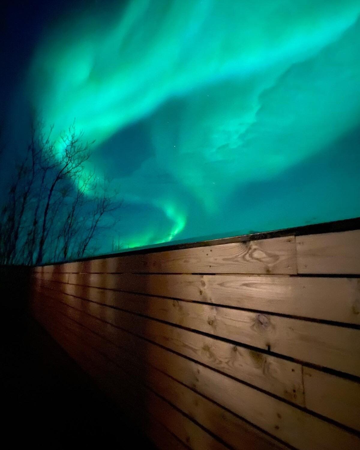 Geysir Cabins - Golden Circle Cabin only 800m from Geysir view 4