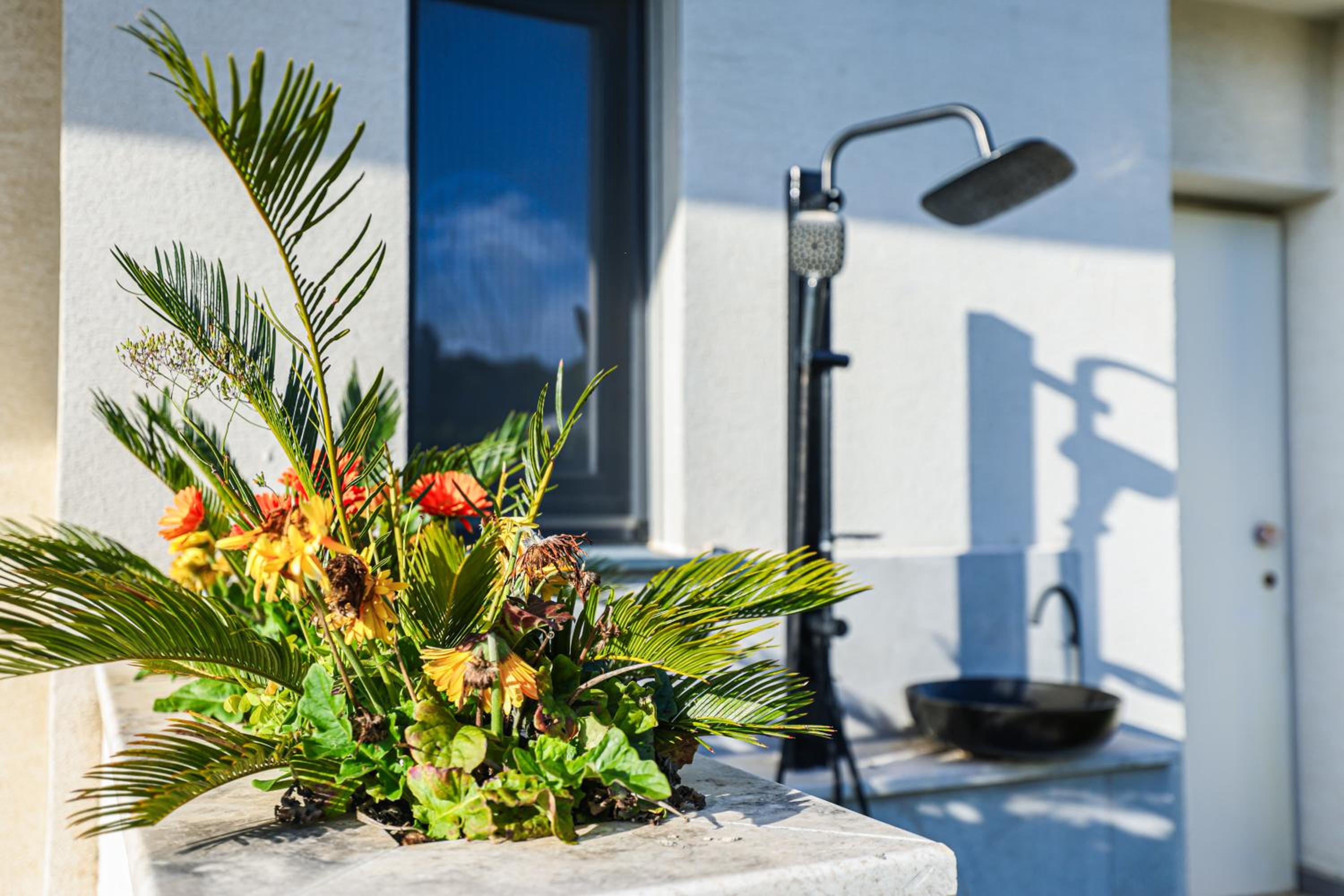 Vila 29 Valamar