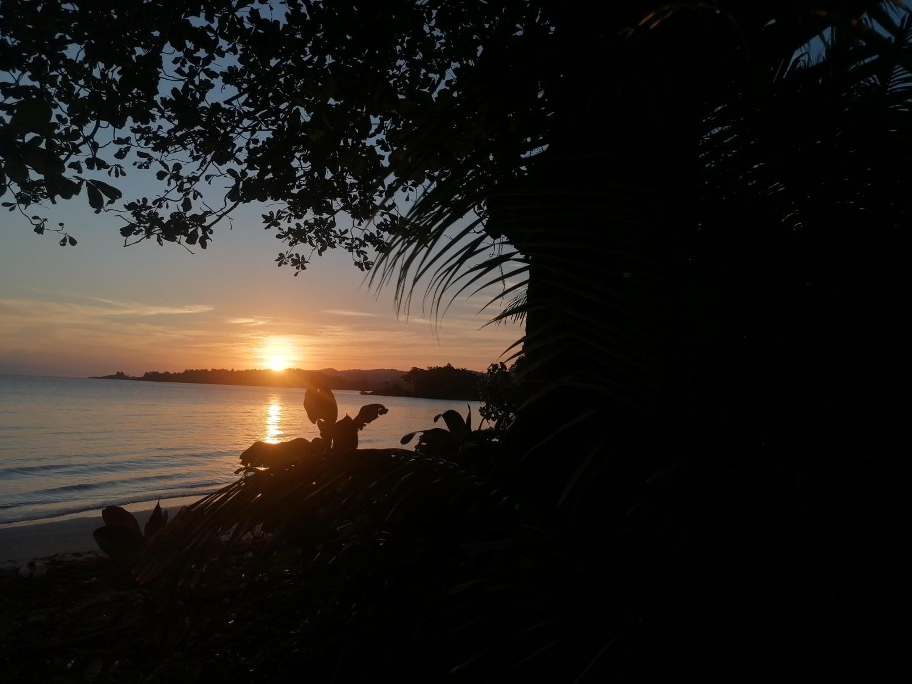 Port Antonio Brian's Beach House