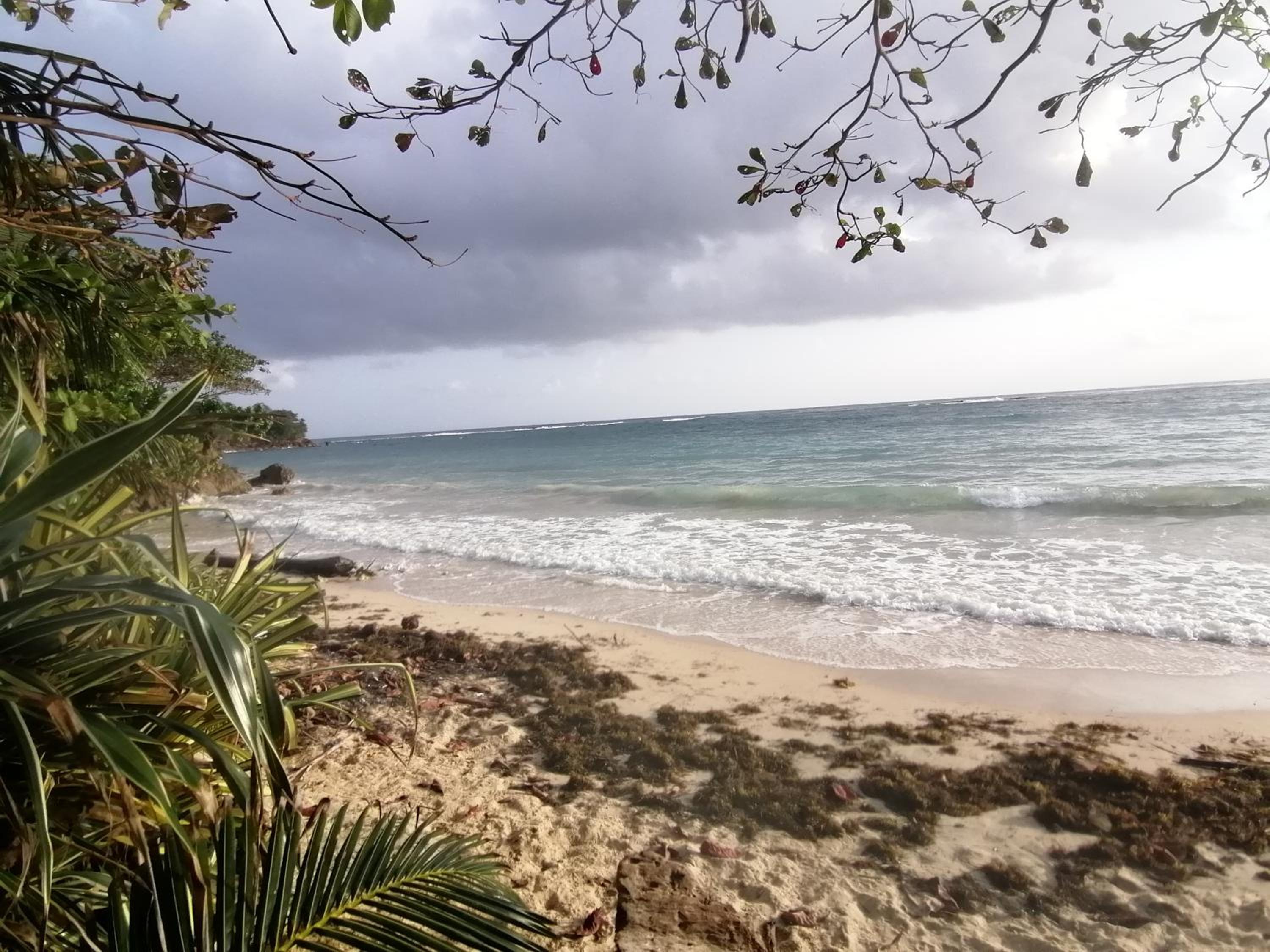 Port Antonio Brian's Beach House