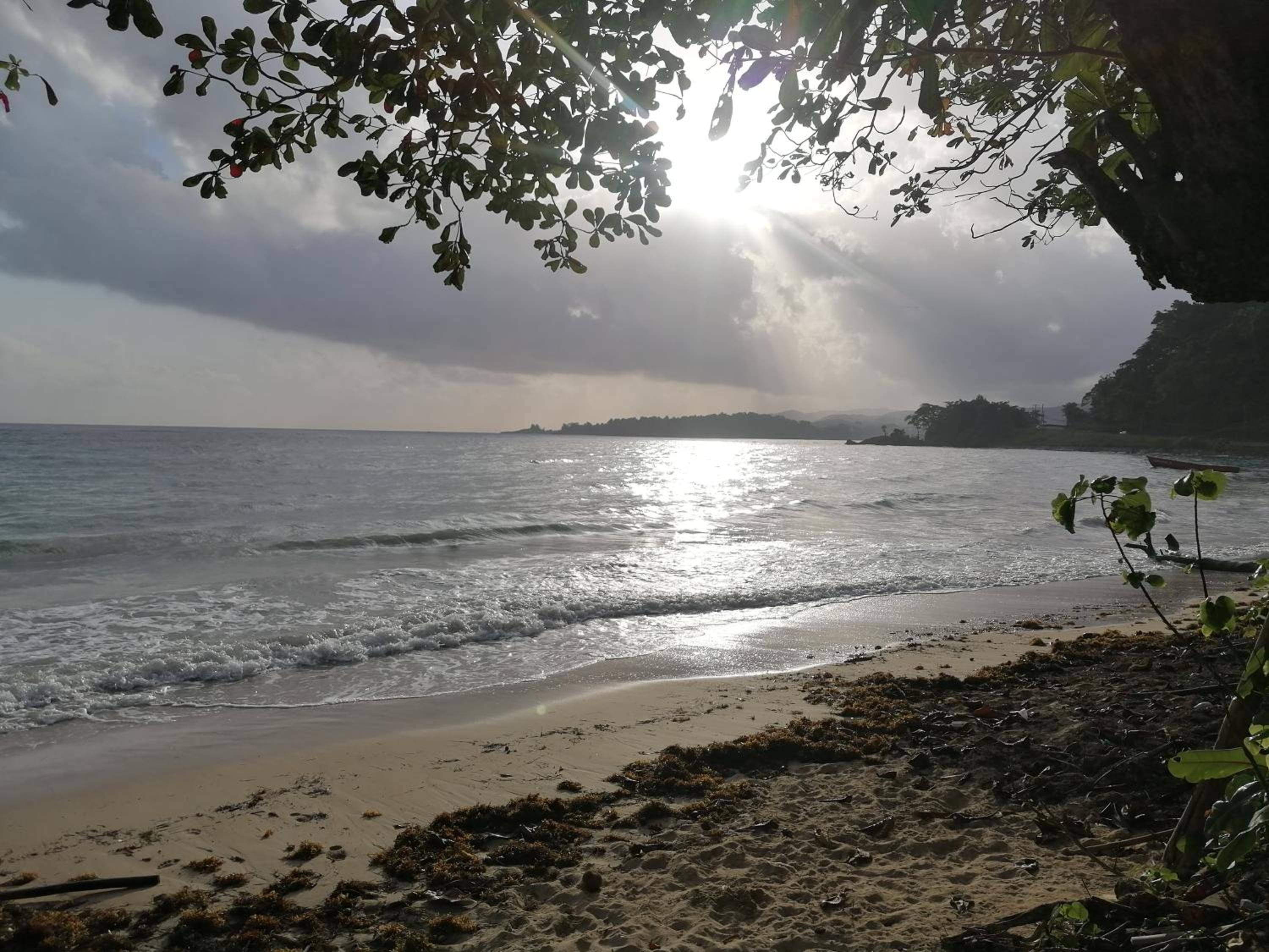 Port Antonio Brian's Beach House