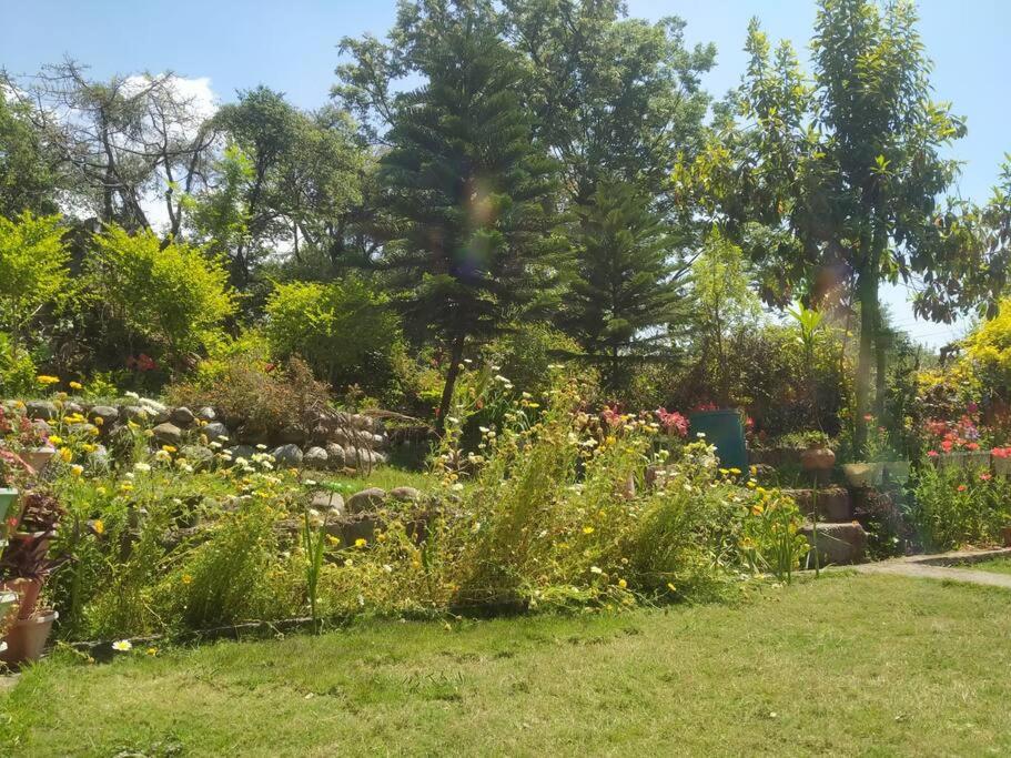 Photo 17