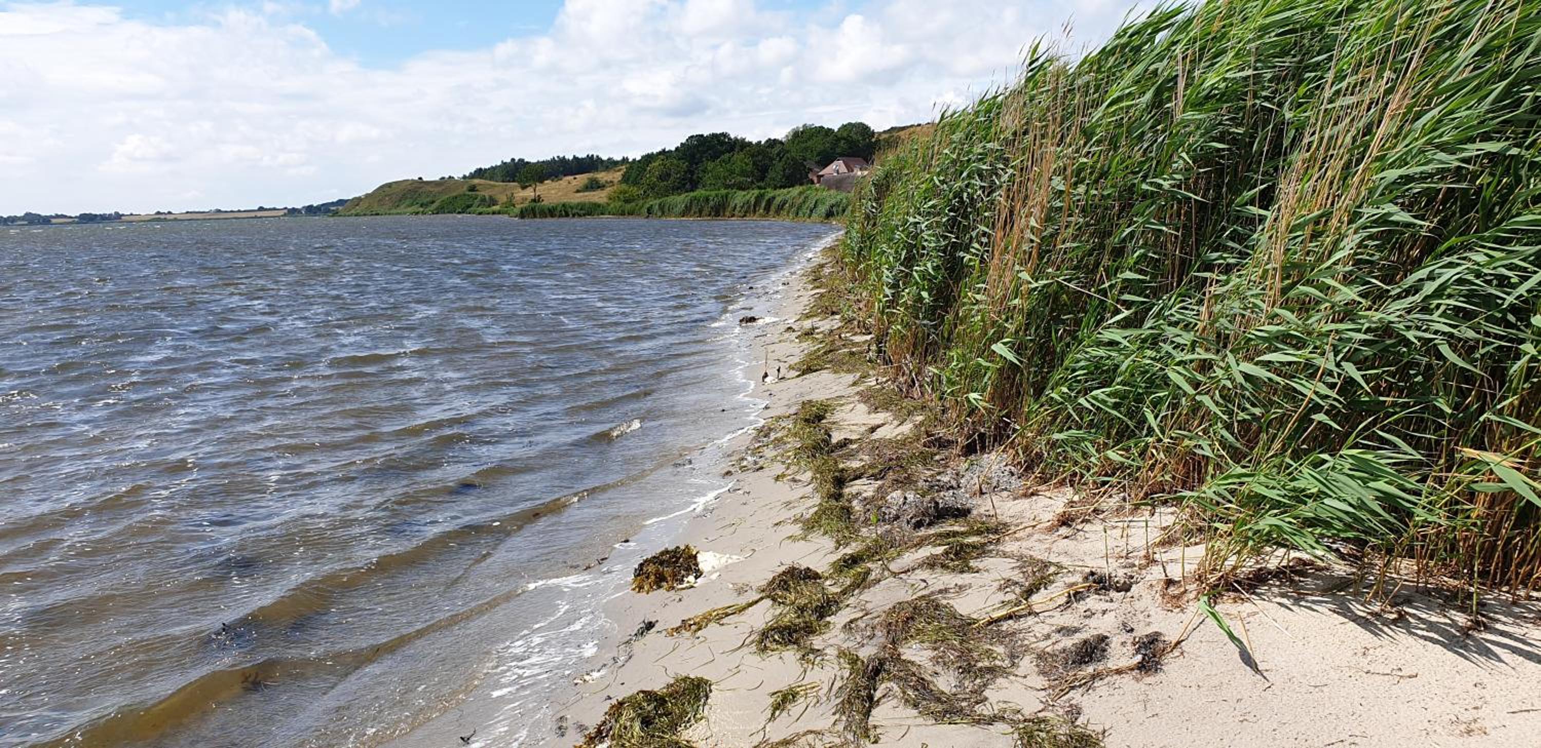 Insel Landhaus Seaside
