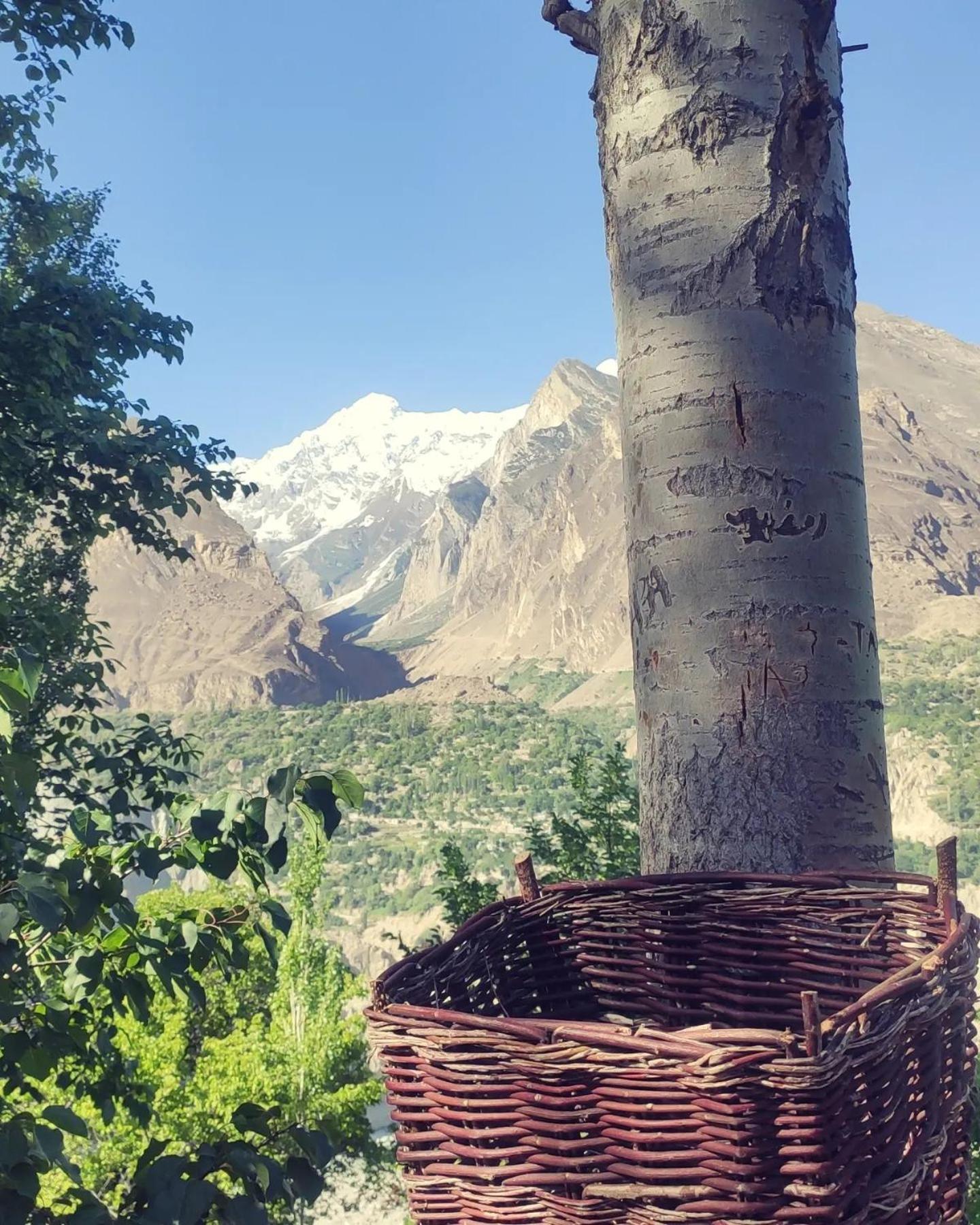 Photo 12