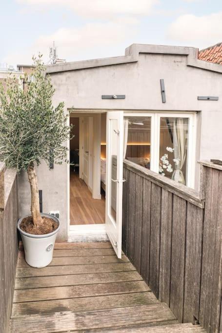 Rooftop Retreat