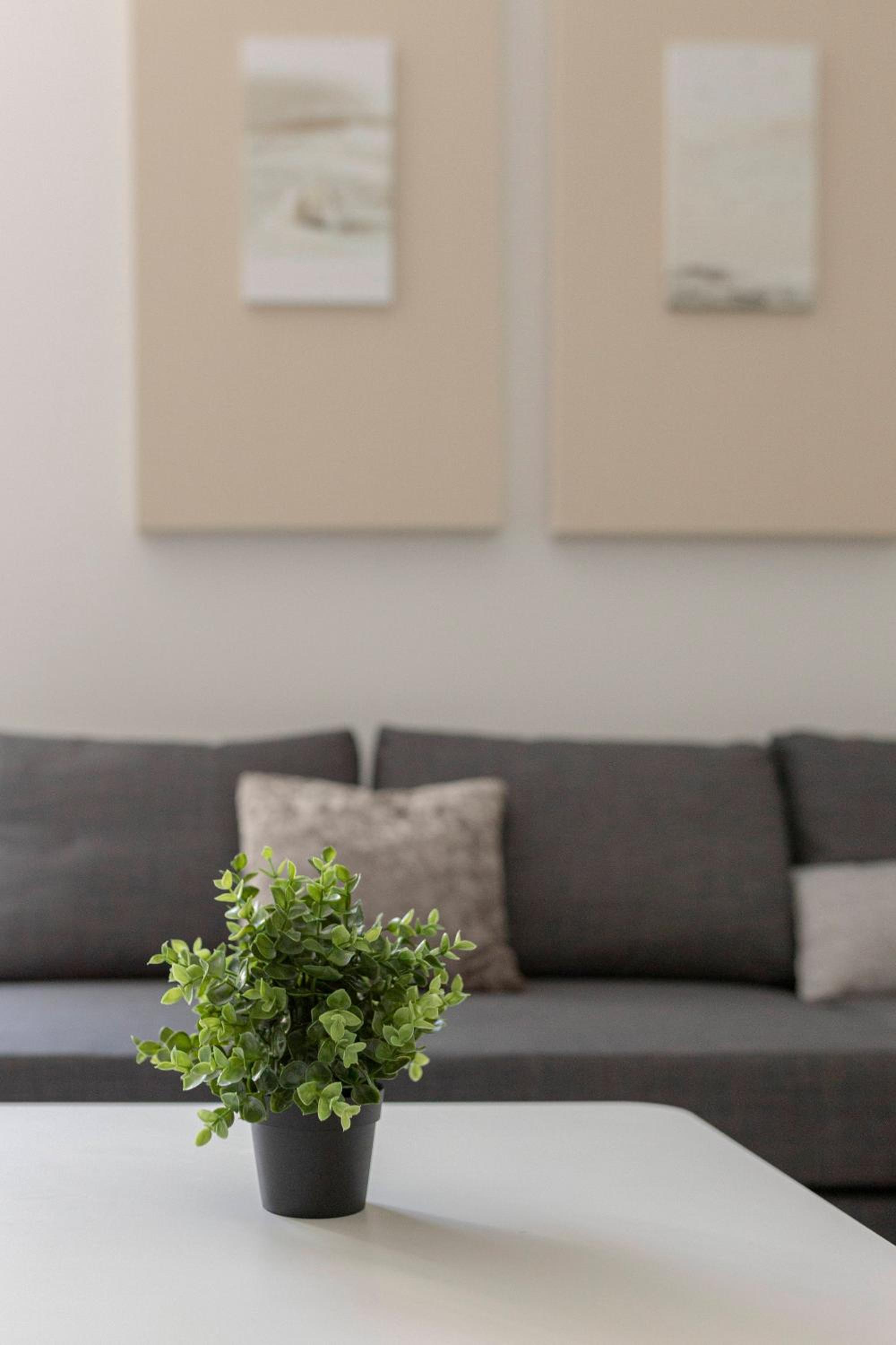 Apartment Kidi