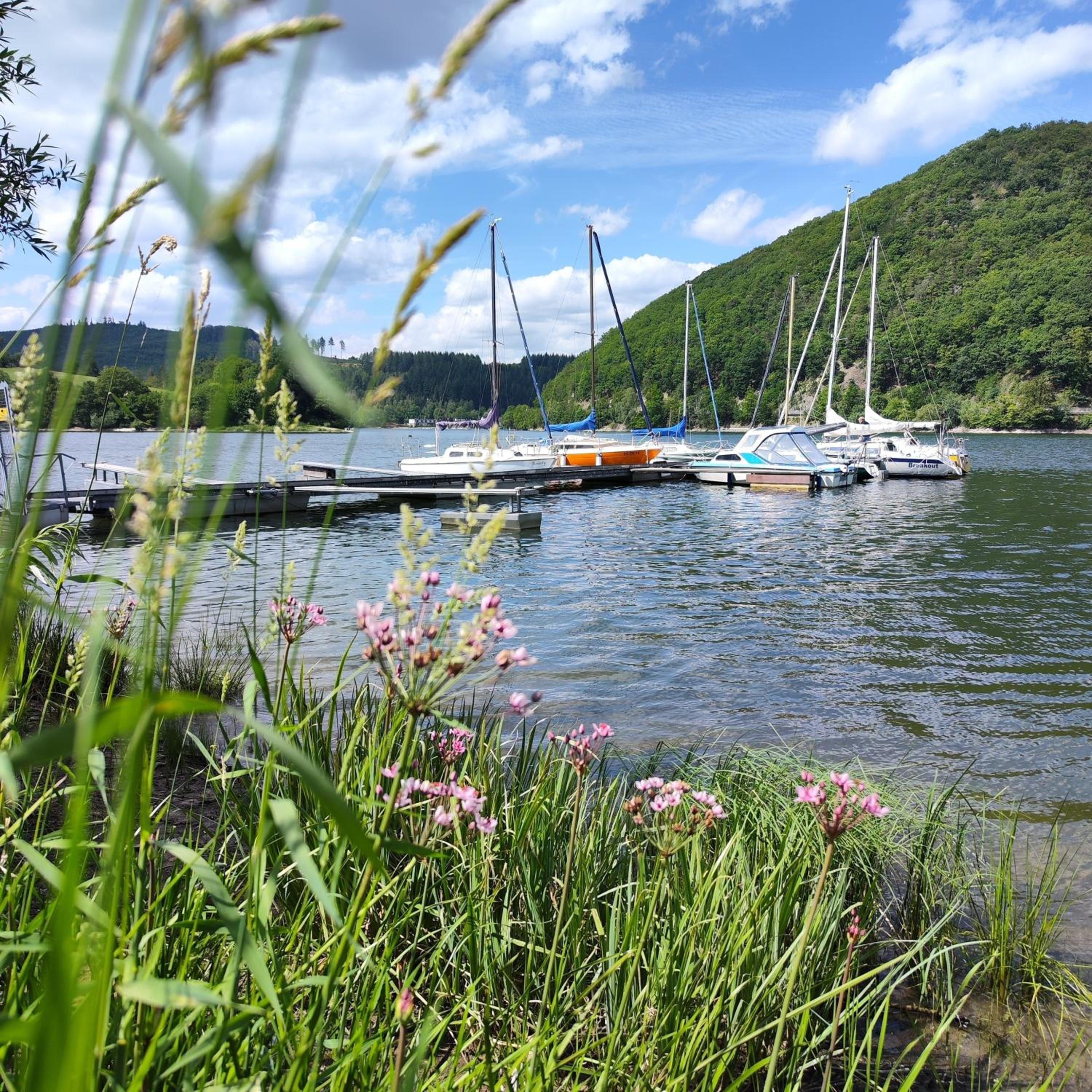 diemelseeholiday Ferienwohnung am Diemelsee mit Balkon