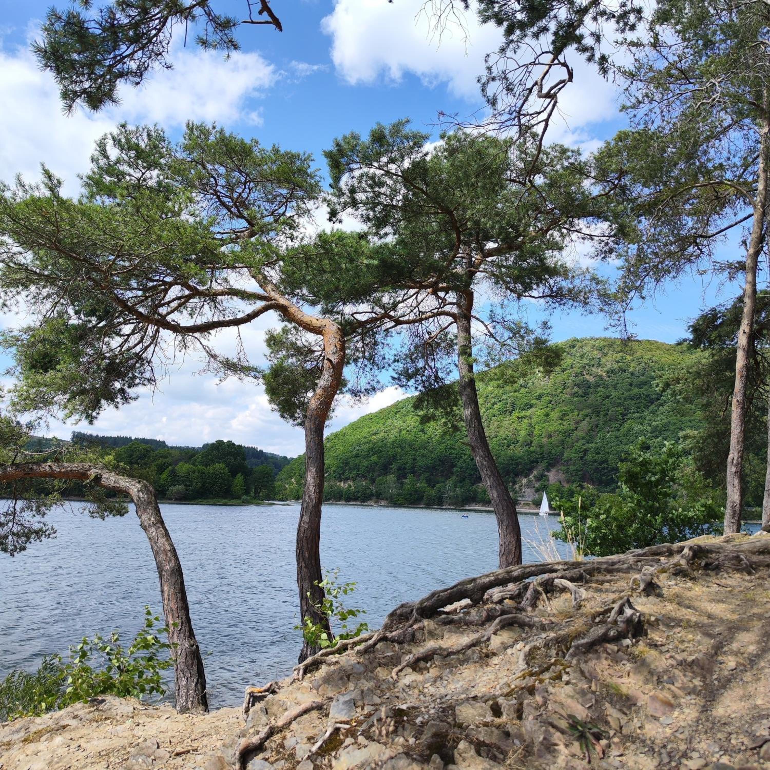 diemelseeholiday Ferienwohnung am Diemelsee mit Balkon