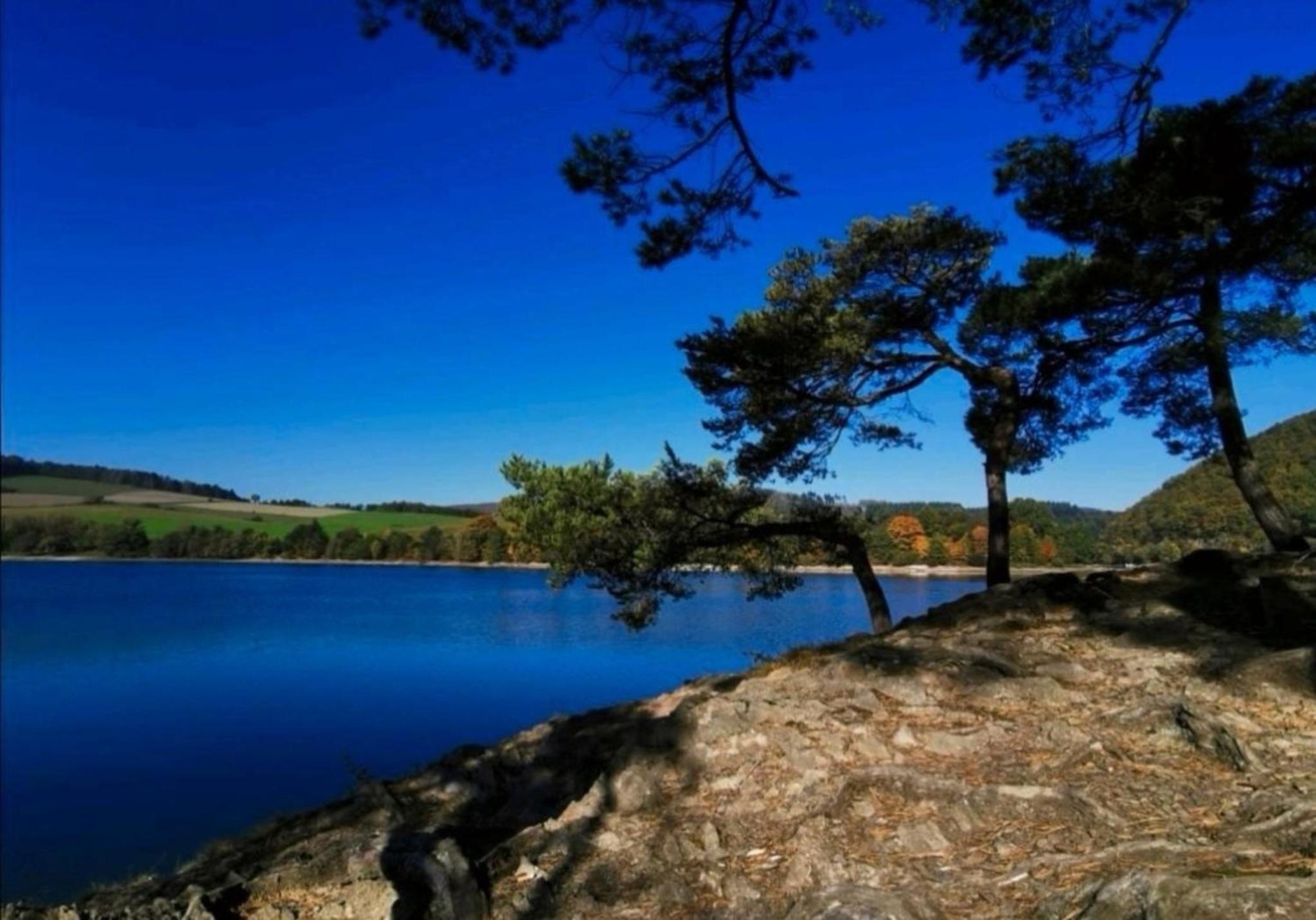 diemelseeholiday Ferienwohnung im Sauerland mit Kamin