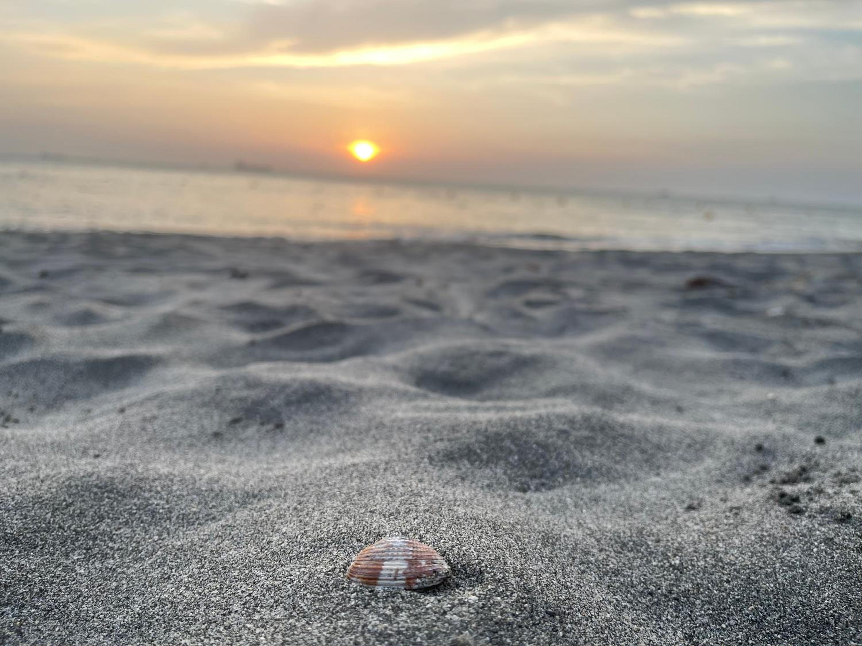 Santa Marta - Pozos Colorados - Porto Horizonte 916