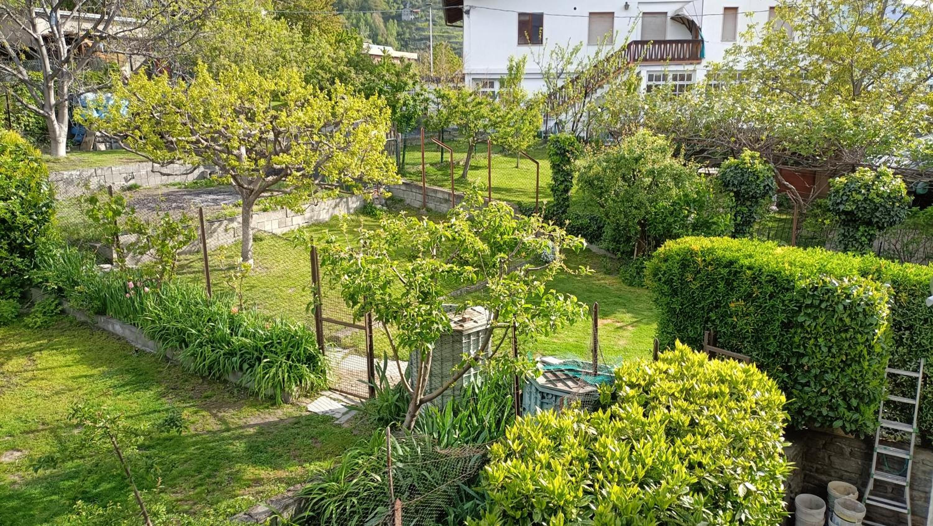 Amalia