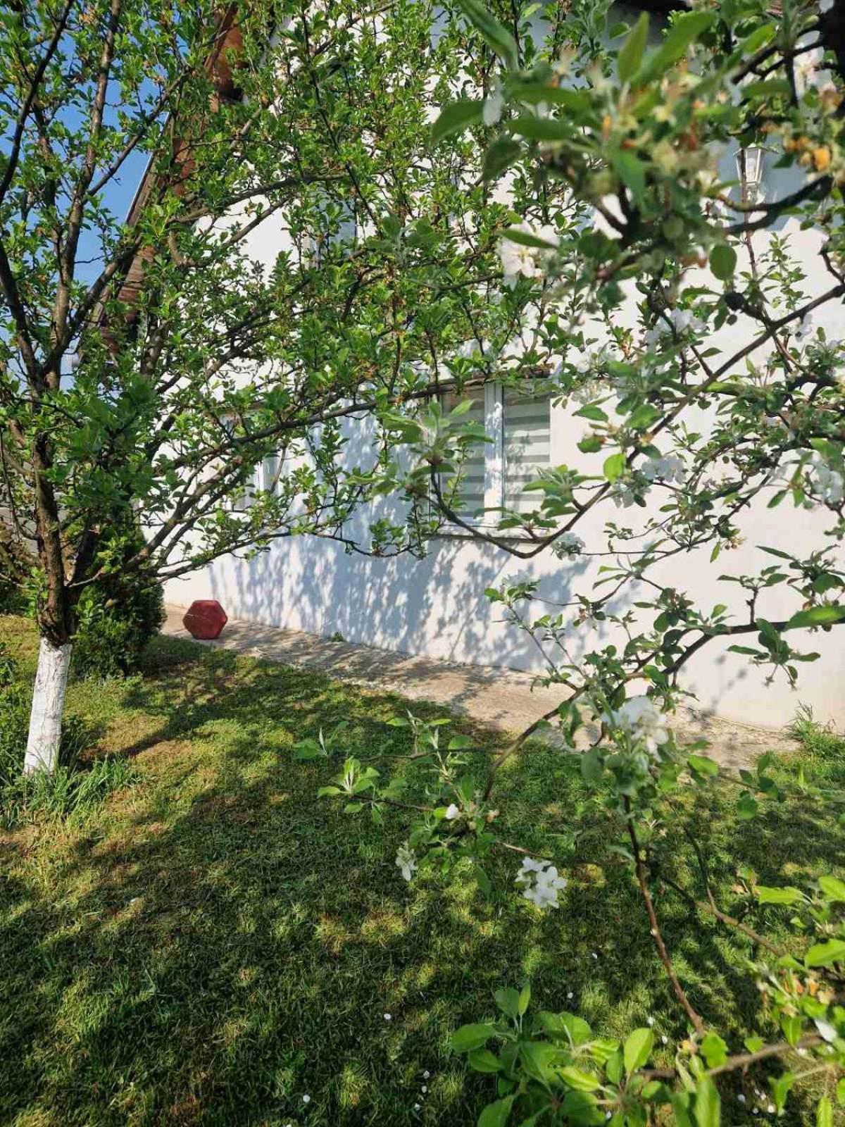 Villa Mia