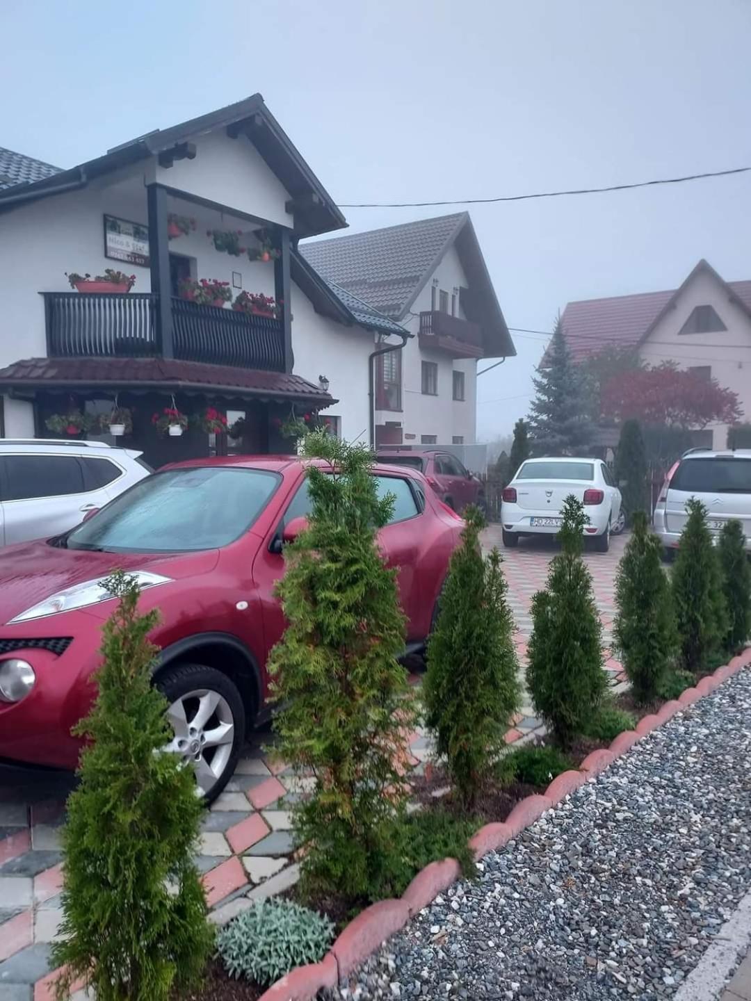 NICO-ȘTEF