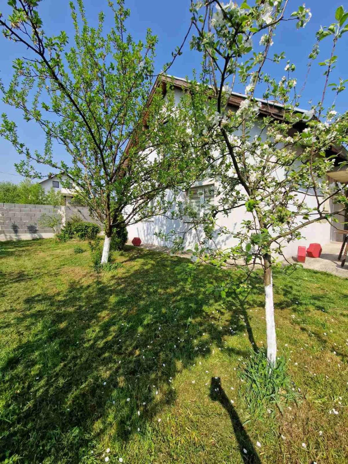 Villa Mia