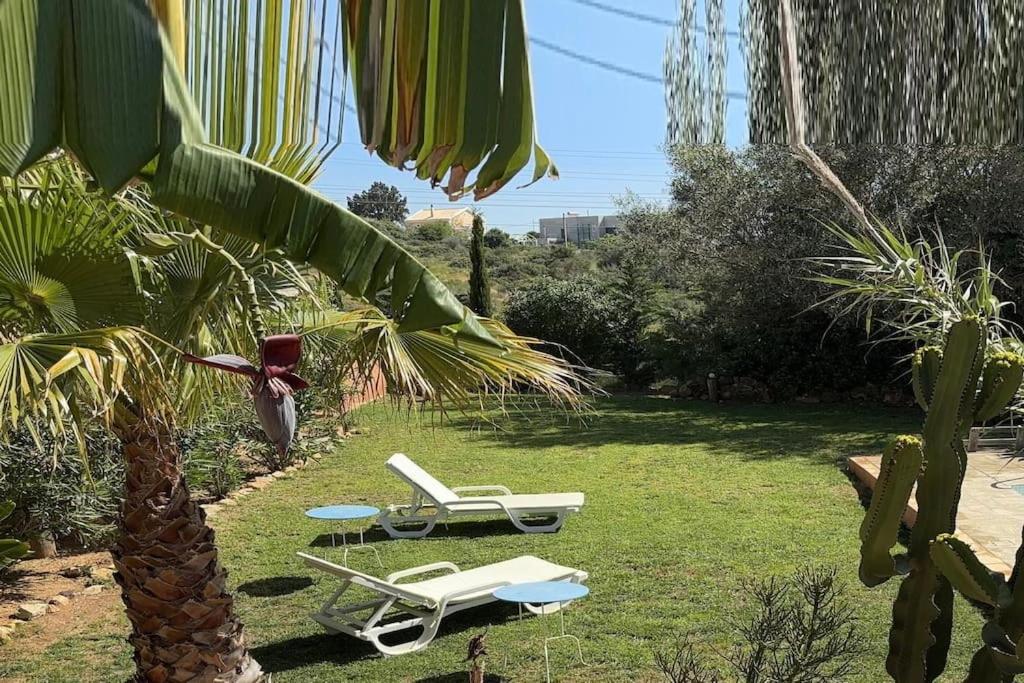 Farm A do Alho, Herdade do Funchal view 4