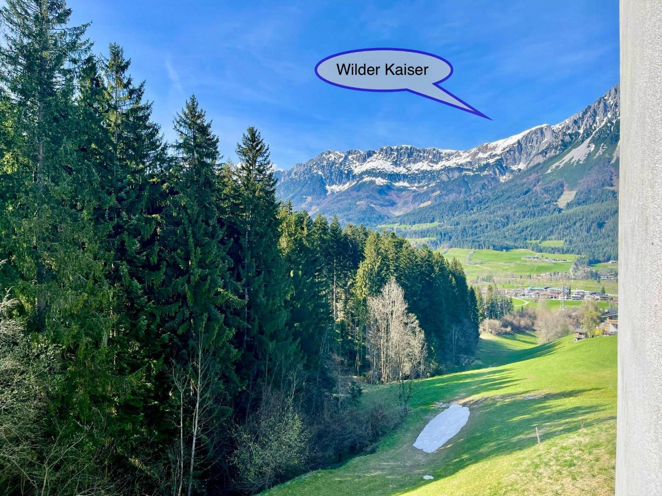 Apartment Berghof Ellmau