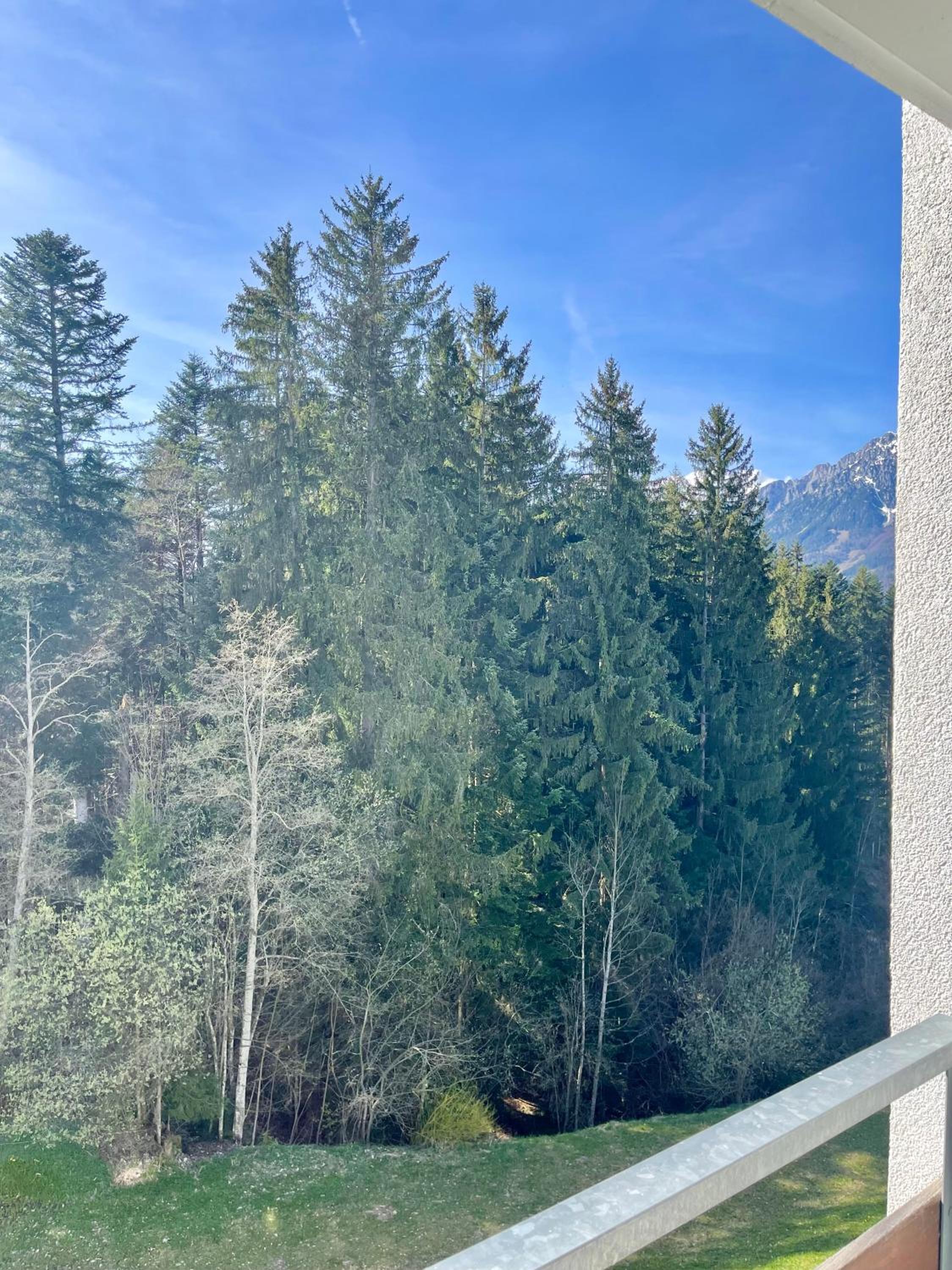 Apartment Berghof Ellmau