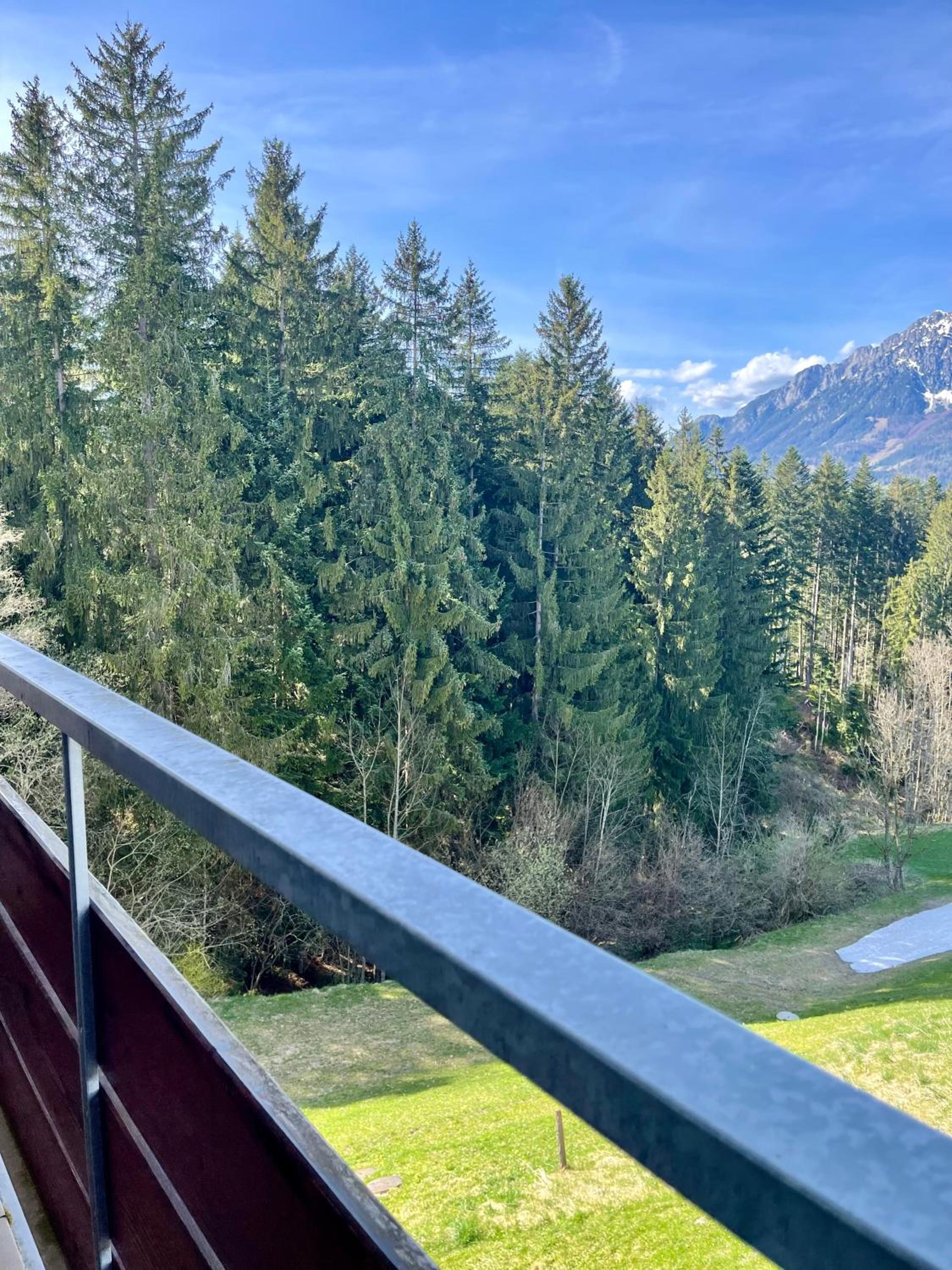 Apartment Berghof Ellmau