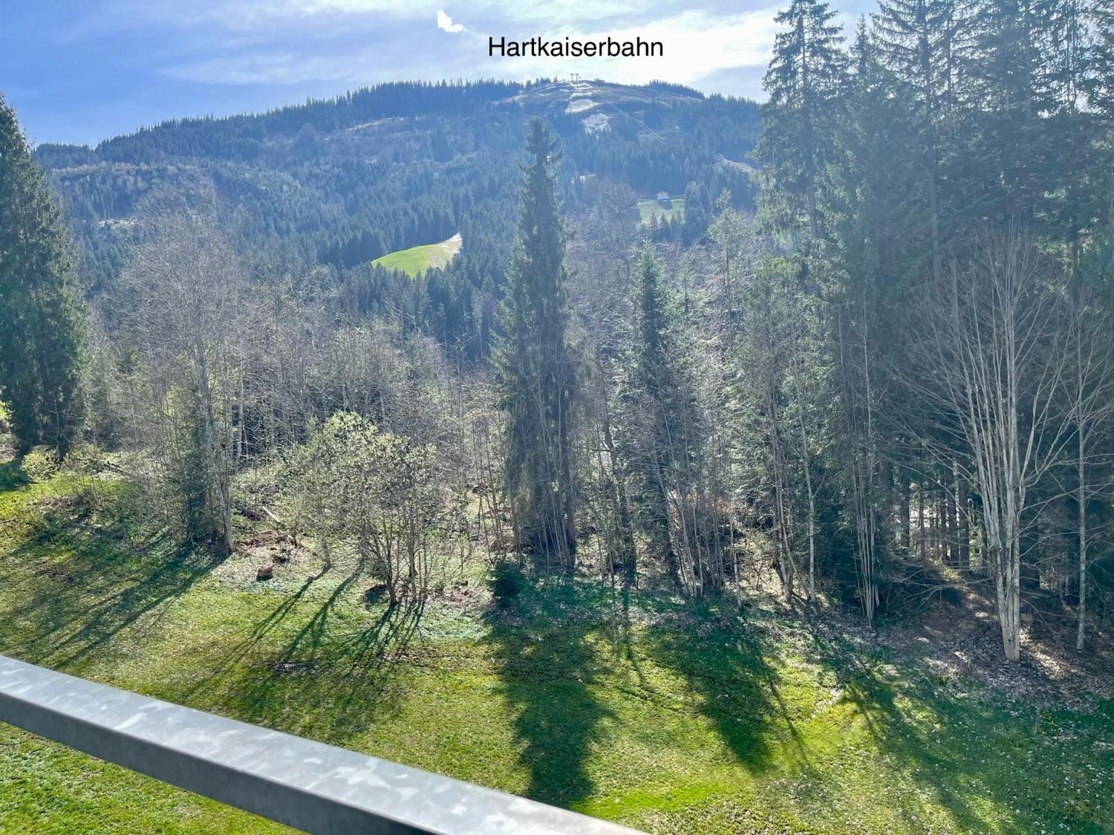 Apartment Berghof Ellmau