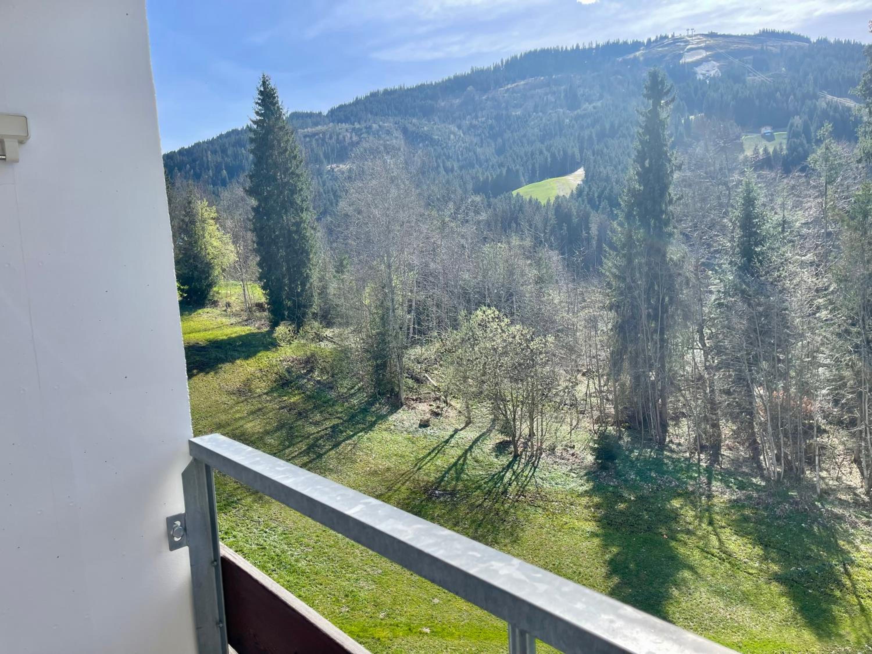 Apartment Berghof Ellmau